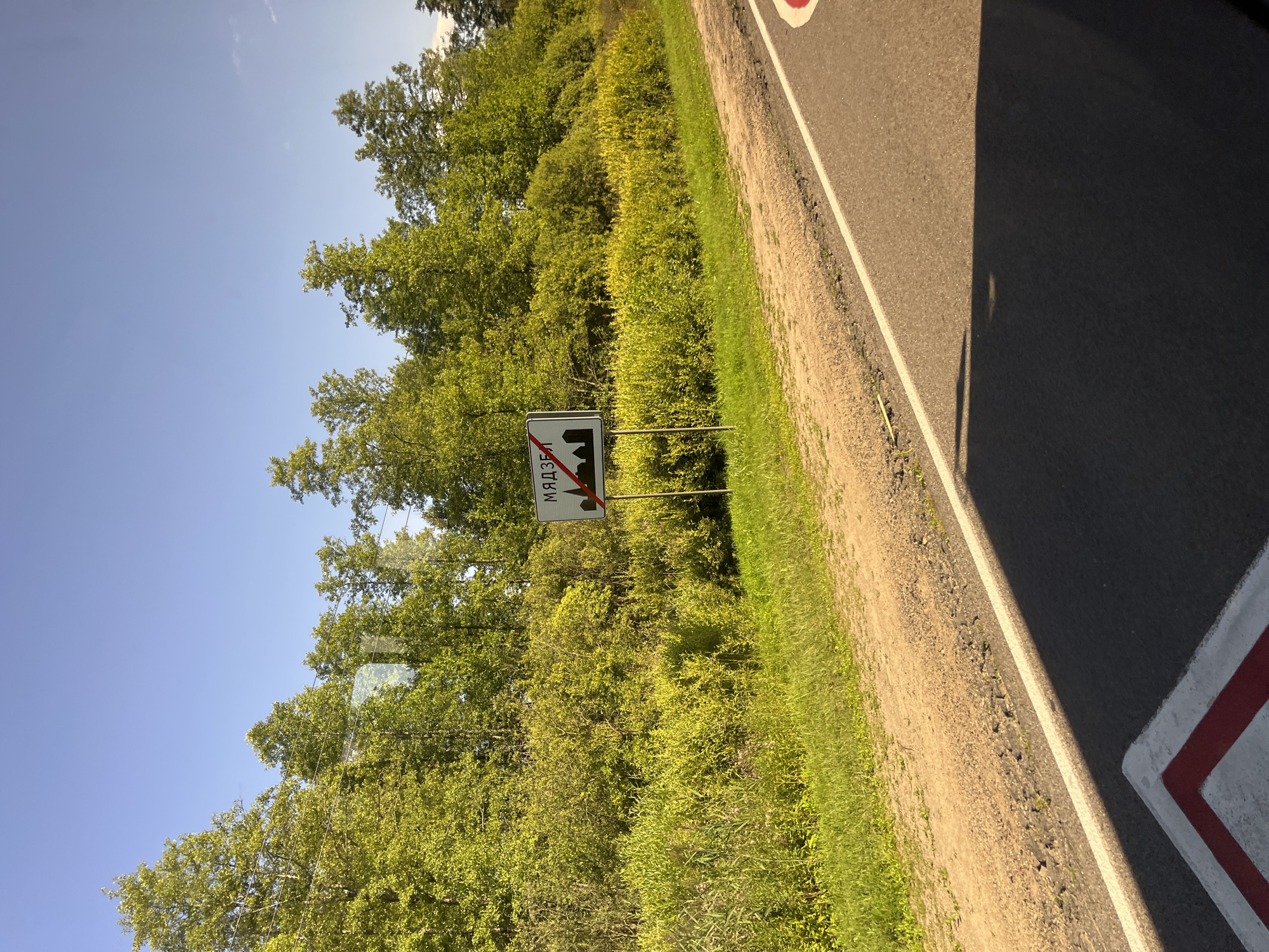 A road sign in the city of Myadzyel, Belarus, stands at the edge of a paved road next to a grassy embankment and a dense line of trees under a clear blue sky. The sign, white with a black border and black text, features the Cyrillic word "МЯДЗЕ" followed by a red diagonal line through a silhouette of buildings. The road has a white line marking its edge and a red and white painted marker in the foreground. The surrounding vegetation is lush and green, with a mix of trees and smaller bushes. The lighting suggests it is daytime, with shadows visible on the road.