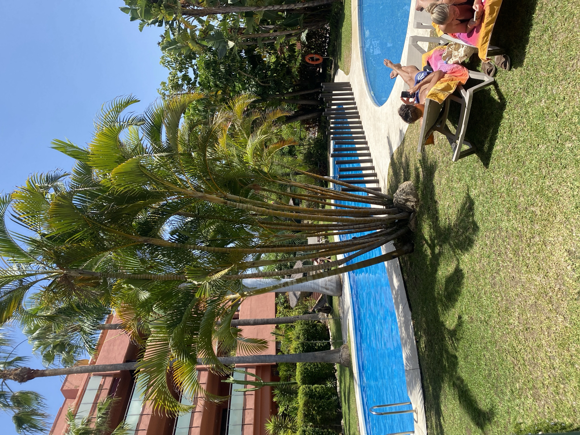The image depicts a sunny outdoor scene by a swimming pool, likely at a resort or residential complex in Resinera-voladilla, Spain. In the foreground, two individuals are relaxing on lounge chairs on a grassy area. The person on the left, a male, is wearing blue swim trunks and is looking at his smartphone. He has a colorful towel draped over his lounge chair. The person on the right, a female, is also lying on a lounge chair with a towel and appears to be looking at her phone.
The swimming pool is a prominent feature, with bright blue water. A portion of a curved pool edge is visible, along with a fence made of dark vertical posts. Lush green palm trees and other tropical vegetation surround the pool area. In the background, a multi-story building with a reddish-orange facade and balconies is visible, interspersed with more greenery. The sky is clear and blue, indicating a warm, sunny day. A life preserver is mounted on a post near the pool. The overall impression is one of a relaxing vacation or leisure setting.