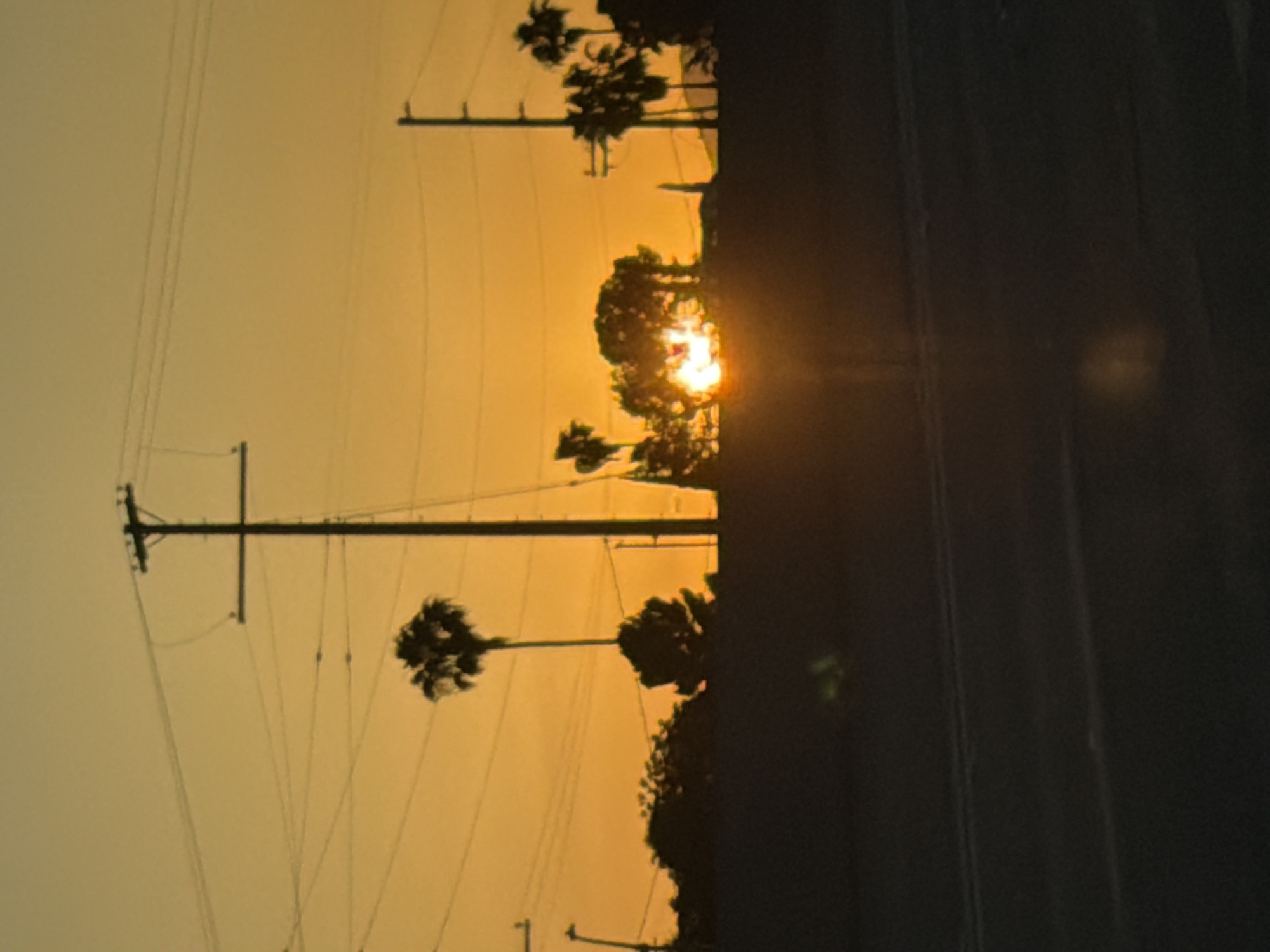 The image depicts a sunset in what appears to be a street scene in Los Angeles, United States of America. The sky is a golden hue, likely due to the setting sun. Palm trees are silhouetted against the sky, suggesting a Southern California location. Utility poles with wires are visible, a common sight in urban environments. A road or pavement is visible in the foreground on the right side of the frame, indicating the location is likely a street. The sun is partially obscured by the trees, creating a strong contrast between light and shadow. No people are visible in the image.