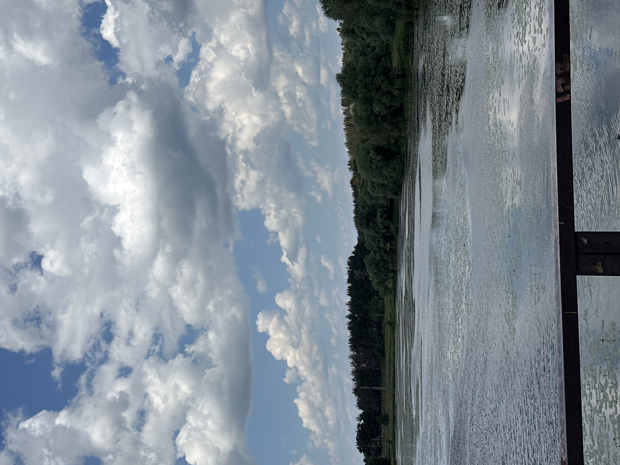 A landscape photograph depicts a body of water with lily pads, a dense line of trees along the shore, and a sky filled with white, fluffy clouds against a blue background. A dark railing, possibly part of a bridge or pier, runs along the bottom of the frame. The water is calm, reflecting the sky and trees. The trees vary in height and density, creating a lush, green backdrop. The clouds are scattered, with some appearing larger and more defined than others, casting subtle shadows on the water. The overall scene is tranquil and natural.