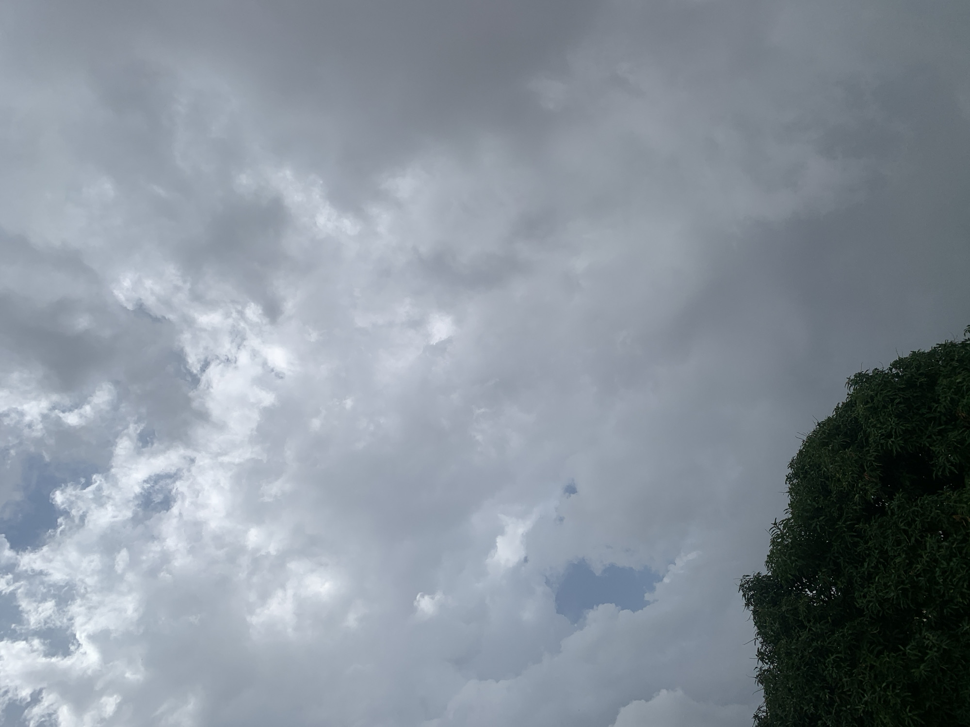 The image displays a cloudy sky with a portion of a lush green tree in the lower left corner. The sky is predominantly filled with dense, gray clouds, suggesting an overcast or approaching rainy weather. There are breaks in the clouds where patches of blue sky are visible. The tree appears to be a large, mature specimen with abundant foliage. The scene is devoid of any people or human activity. The environment depicted is consistent with an outdoor natural setting. The location of Kuru Karama, Nigeria, places this scene within a specific geographical context.