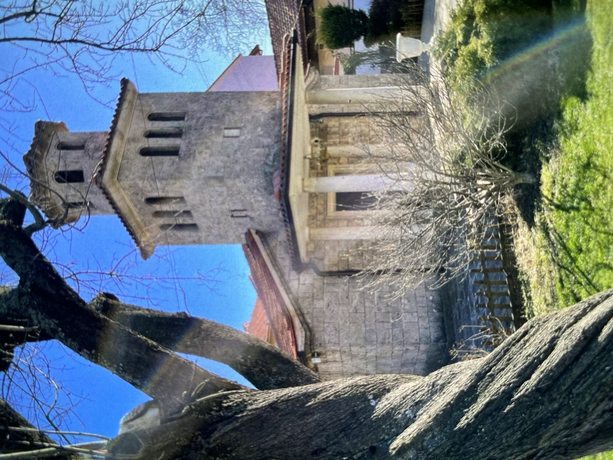 The image, oriented sideways, presents a stone building with a prominent tower, framed by tree branches against a clear blue sky. The scene appears to be set on a sunny day.
The main subject is a substantial, light-colored stone structure, likely a historical building or church, characteristic of European architecture found in areas like Bankya, Bulgaria. A square tower dominates the left side of the building, featuring multiple arched and rectangular openings on its visible faces, suggesting bell apertures or decorative elements. The tower is topped with crenellated or decorative stonework. The main body of the building has a gabled roof covered with reddish-brown tiles. Another section of the building includes a flat roof or terrace with some low, green foliage. The stonework of the building appears aged and robust.
In the immediate foreground, large, gnarled tree trunks and branches, mostly bare of leaves, extend into the frame, partially obscuring the view. These deciduous trees suggest a late winter or early spring season. Further back, another smaller tree with bare branches stands closer to the building. To the right of the image, a vibrant green lawn or grassy area is visible, interspersed with lush green bushes and foliage from other trees. A white lamppost with a distinct fixture can be seen among the greenery.
There is no specific activity taking place; the image captures a static architectural and natural landscape. A subtle rainbow-like lens flare is visible in various parts of the image, suggesting the sun's angle relative to the camera. No discernible text is visible within the frame.