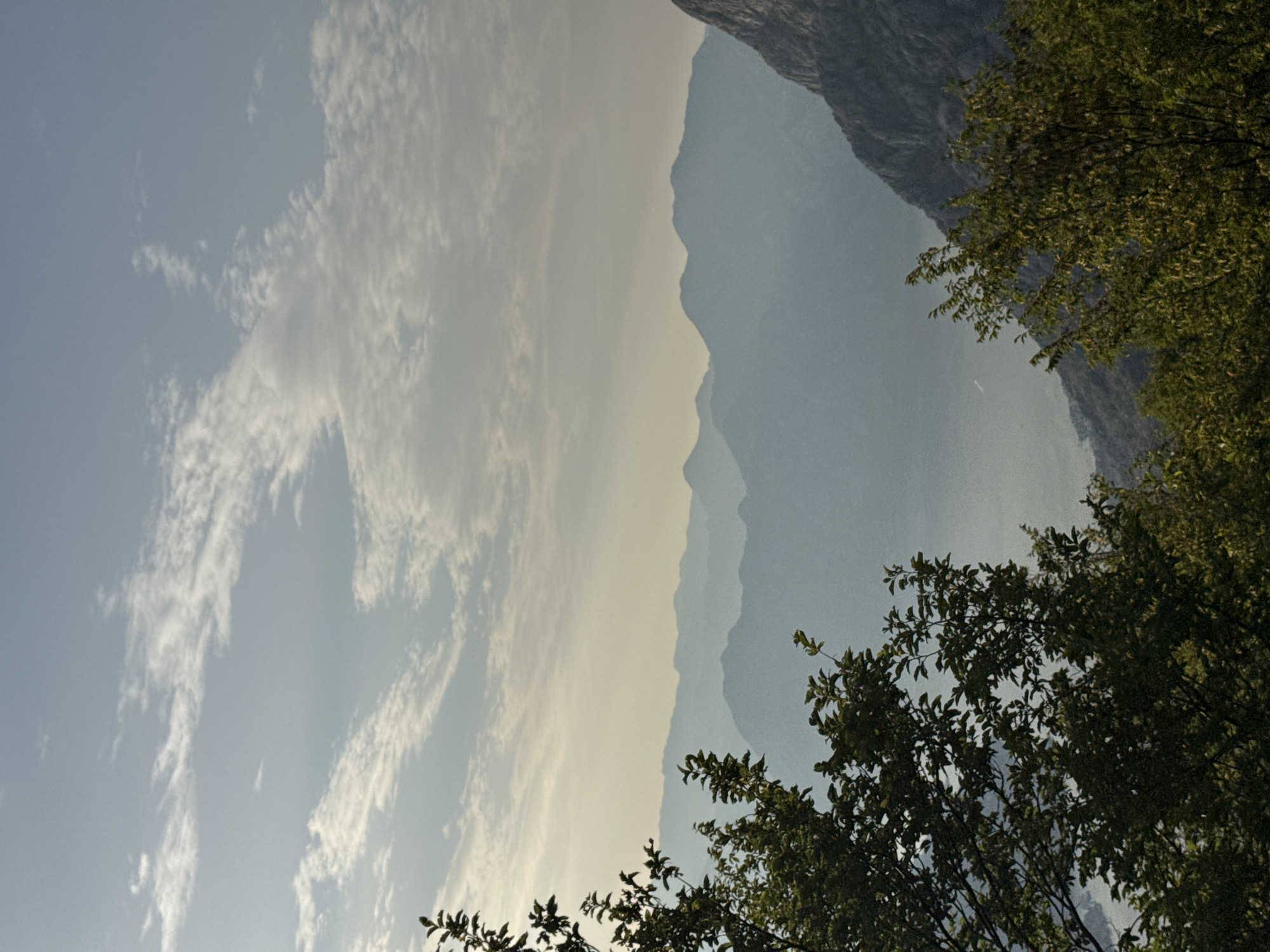 This image captures a serene mountain landscape with a body of water, likely the Bay of Kotor, in the foreground, framed by lush green foliage. The scene is set in Žanjev Do, Montenegro, with a series of hazy, layered mountains stretching into the distance under a pale blue sky dotted with wispy clouds. The foreground features dense trees with dark green leaves, some branches extending into the frame, adding a sense of depth. The water appears calm, reflecting the muted light of the sky. No people or specific objects are visible, only the natural environment.