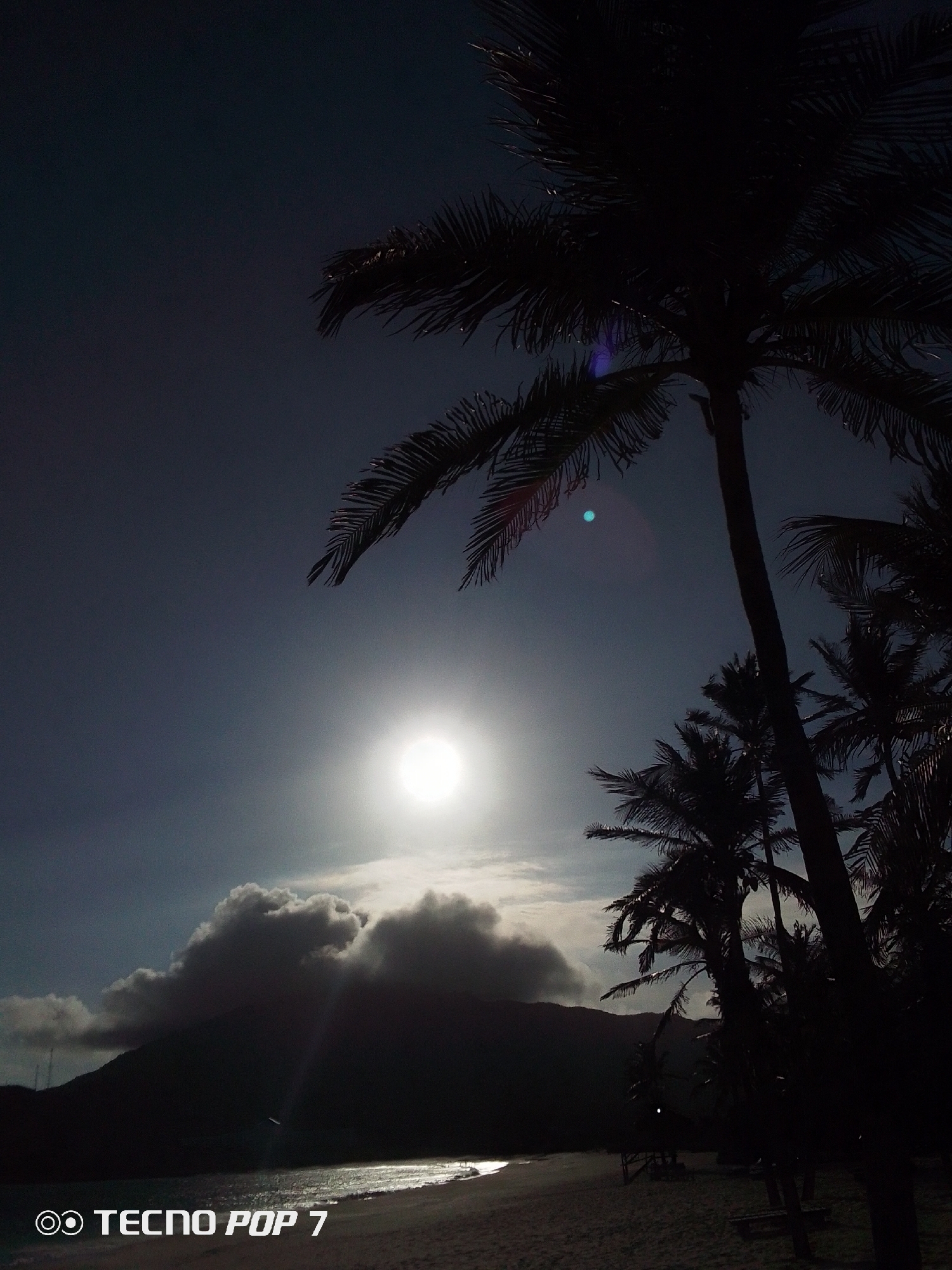 The image shows a beach scene in Pedro González, Venezuela at night. A bright light source, possibly the moon, illuminates the sky. In the foreground, there are silhouetted palm trees and a sandy beach. In the background, there is a dark land mass, potentially a hill or mountain, with clouds obscuring the top. The ocean reflects the light source. There are no visible people.