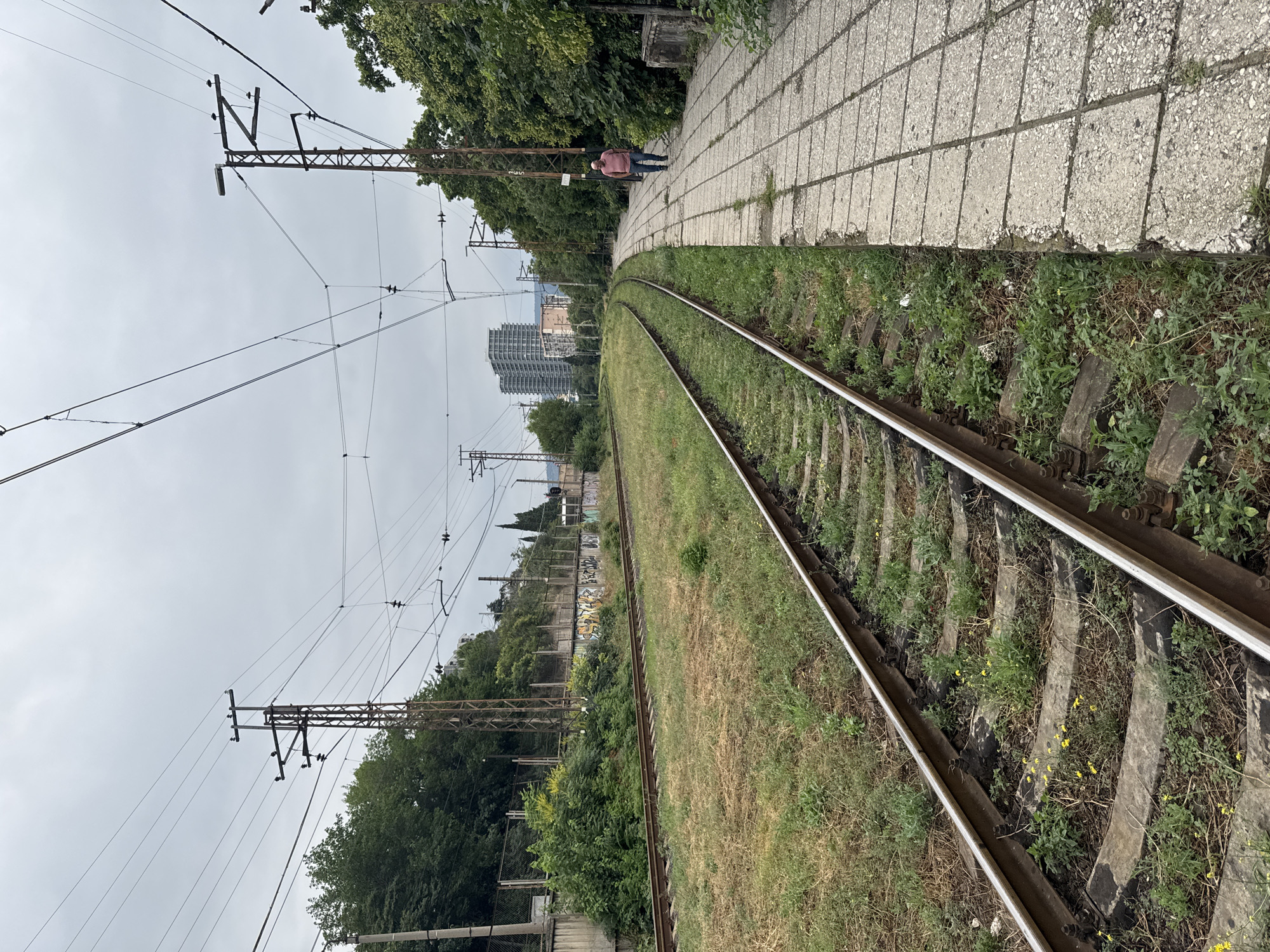 The image depicts a view of train tracks and a tiled walkway in Tbilisi, Georgia, on an overcast day. In the foreground, a set of railroad tracks runs diagonally from the lower left to the upper right of the frame, with overgrown grass and small yellow wildflowers growing between the ties. To the right of the tracks is a weathered, tiled walkway. A single individual, an adult male wearing a pink shirt and dark pants, walks away from the viewer on the walkway. In the middle ground, more train tracks are visible, curving to the left, with a concrete wall covered in graffiti behind them. Beyond the wall, lush green trees and foliage line a hillside. In the background, modern apartment buildings rise against the cloudy sky, and overhead, a network of electrical wires and poles, typical of a train line, crisscross the sky.