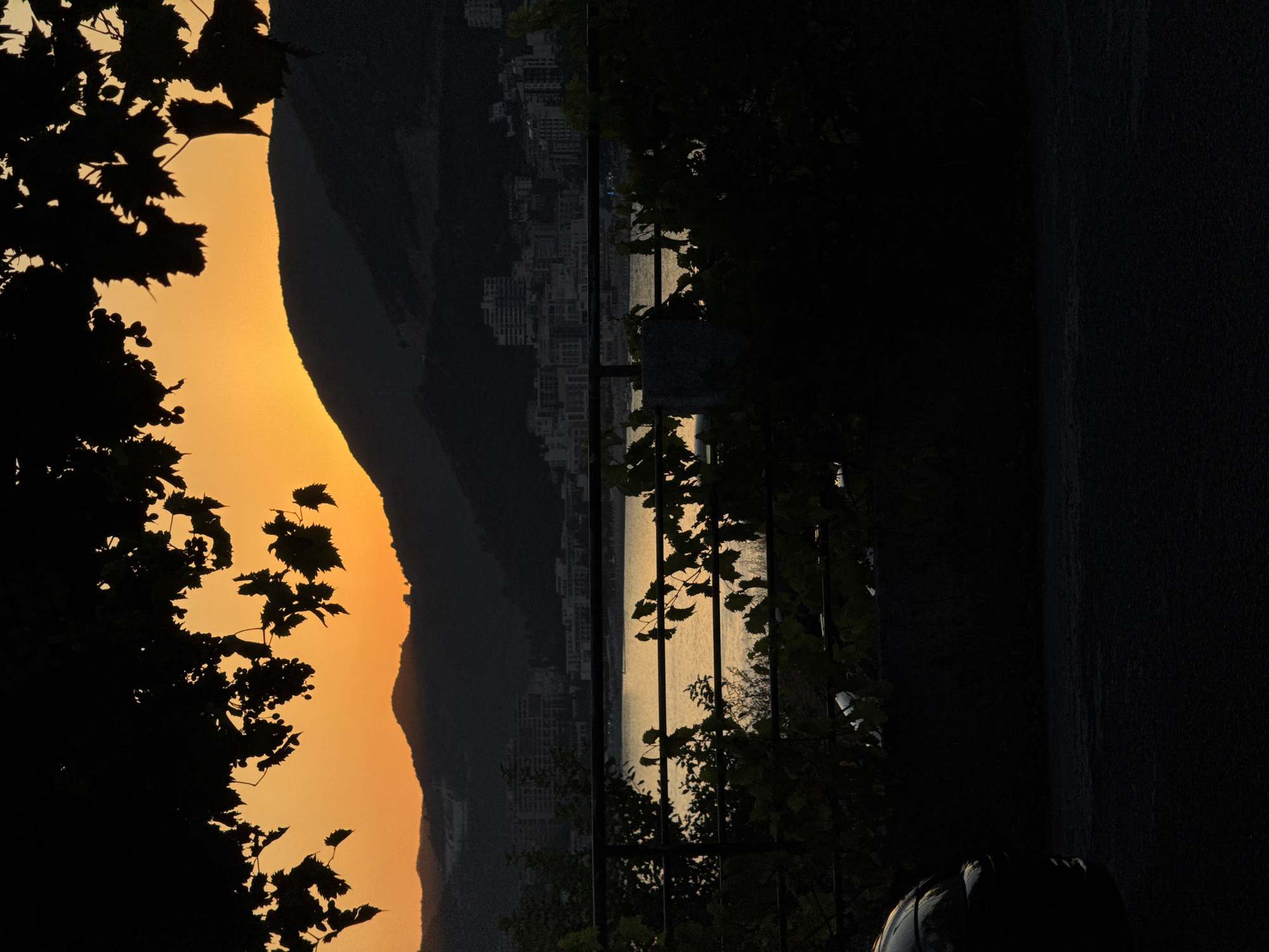 The image captures a twilight scene with a dramatic orange sky over a hilly coastline. Silhouetted against the vibrant sunset are dark, mountainous shapes with a city nestled along their base and a body of water in the foreground. Black foliage hangs from the top of the frame, obscuring parts of the sky and landscape. A dark metal railing runs horizontally across the middle ground, with more silhouetted leaves and branches in front of it. The water reflects the warm hues of the sky. In the lower left corner, the dark silhouette of a car is visible. The scene appears to be from the city of Trap, Montenegro, suggesting a coastal viewpoint overlooking the city and bay.