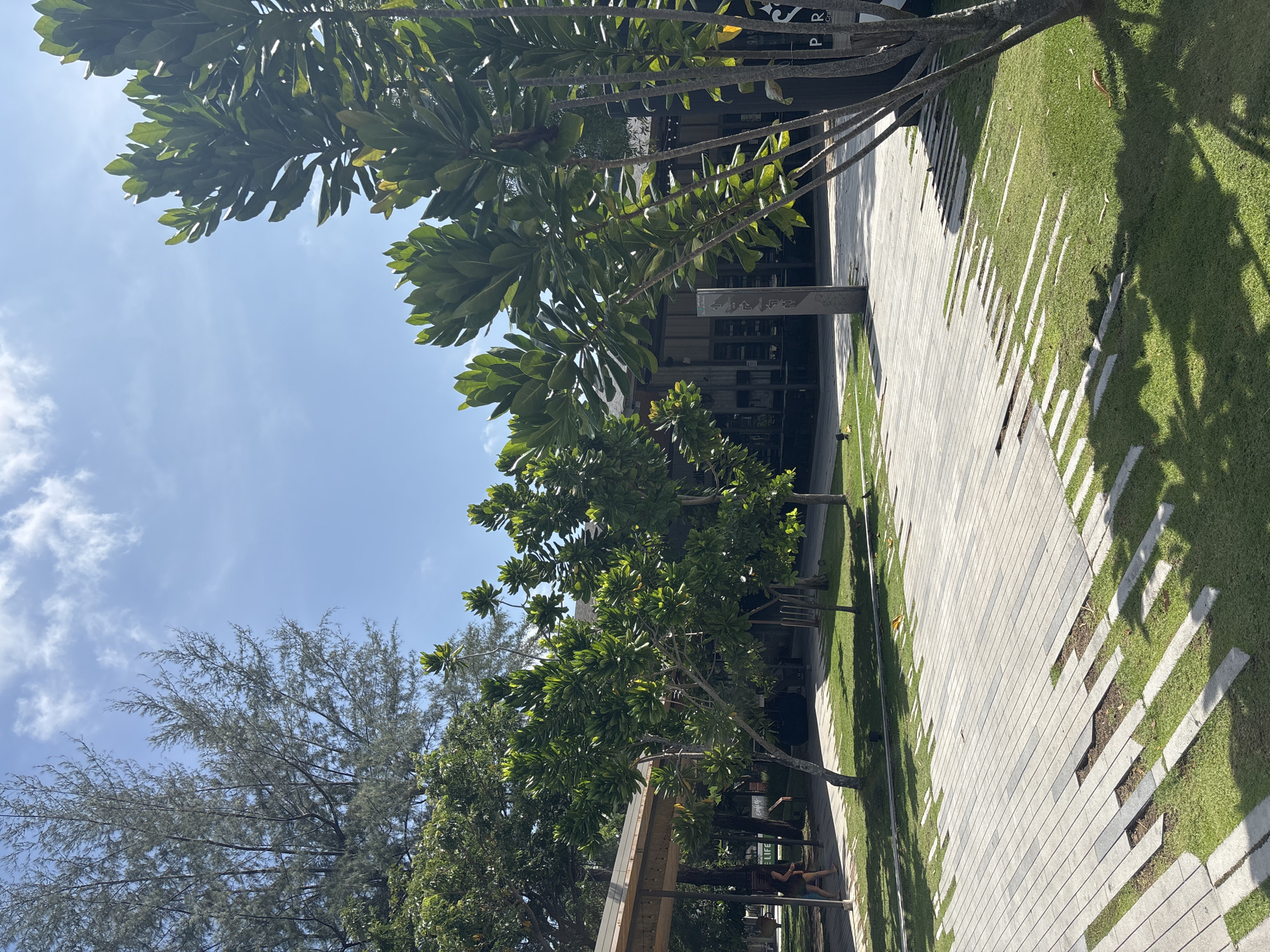 This image depicts a sunny outdoor area, likely a pedestrian walkway or part of a resort, in Choeng Thale, Thailand. A wide, light-colored paved pathway, constructed from rectangular blocks with strips of green grass interspersed, dominates the lower half of the scene. To the right of the pathway, a manicured lawn is visible, covered in distinct, elongated shadows from overhead trees, suggesting bright midday or early afternoon sun.
The area is richly green with various types of trees; some have large, broad leaves, while others display fine, needle-like foliage. Behind the trees, a modern building with a dark facade is partially visible. A dark grey signpost stands in the mid-ground near the building, displaying faint white symbols and what appears to be a right-pointing arrow. The sky is a clear, vibrant blue with a few scattered wispy white clouds, reinforcing the bright, sunny weather.
A few people are present, indicating a leisurely setting. In the lower left, two individuals are seen relaxing on a low structure or bench beneath a tree. Visible text includes "P R" and a partial word that looks like "Caffee" or "Cafe" on a background building, along with the word "LIFE" on another structure. The overall atmosphere is peaceful and pleasant, characteristic of a well-maintained tropical outdoor space.