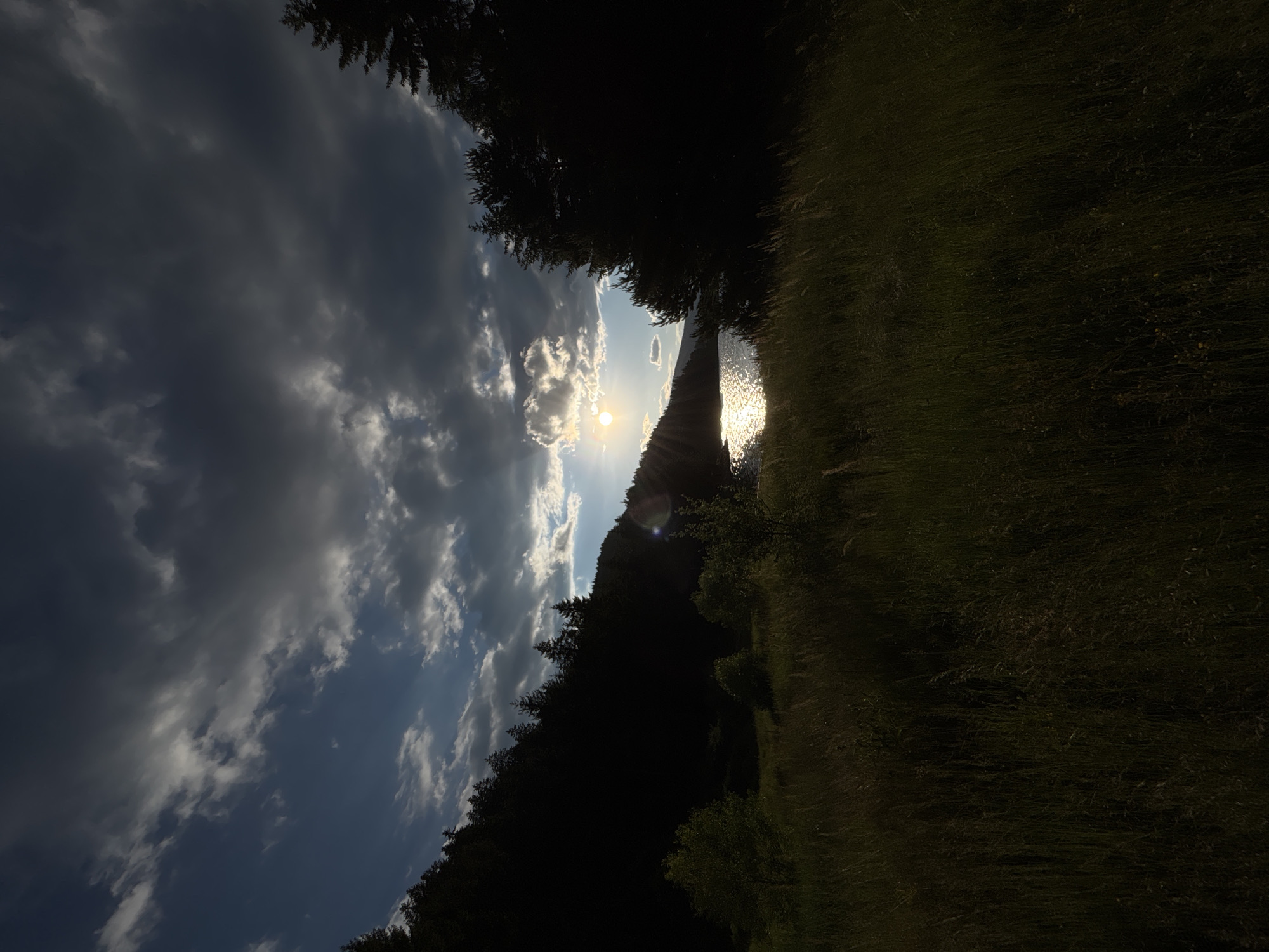 A sunlit lake is visible through silhouetted trees and tall grass in the foreground. The sun is setting or rising, casting a bright glare on the water and silhouetting the trees that line the shore. Dark, dramatic clouds fill the sky, with patches of light breaking through. The foreground is dominated by tall, dry grass. The scene appears to be in a natural, undeveloped area.
