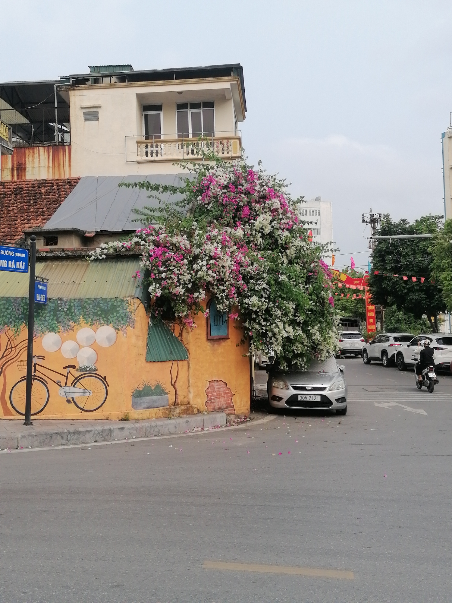 A street scene in Hong Gai Ward, Vietnam. A silver car (license plate 30V-7121) is parked partially under an overgrown bougainvillea vine, covered in pink and white flowers. The vine is attached to a yellow building with a mural of a bicycle with conical hats behind it. A sign indicating "Duong Ba Hat" and "Pho Ba Deo" is positioned to the left. A person on a scooter is driving in the same direction as the car. Other cars are parked along the road further away. Bunting is visible on poles in the distance down the road. A grey sky indicates overcast weather. The foreground shows a view of the intersection between the street and the road.