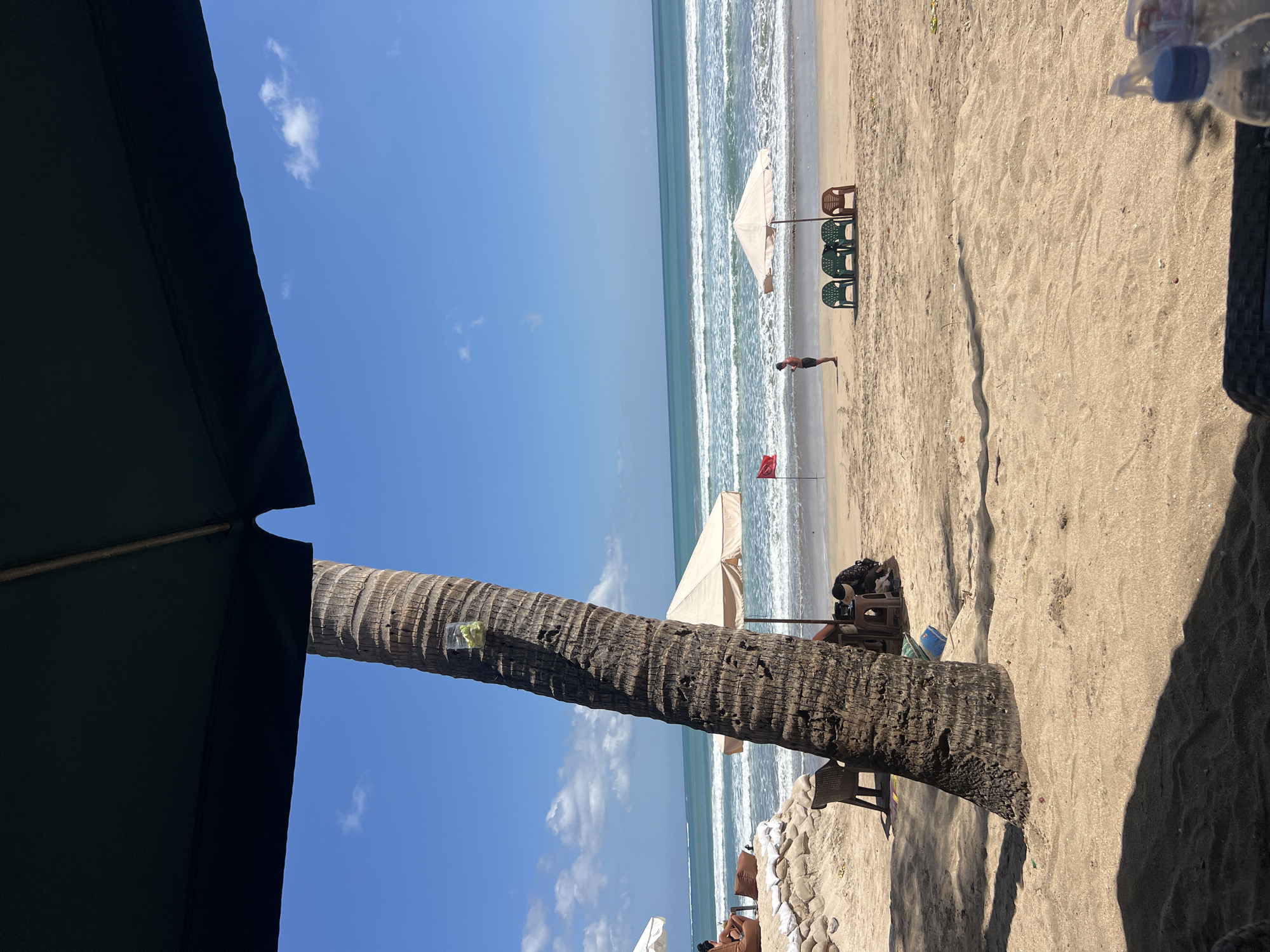 The image depicts a sunny day at Kuta Beach, Indonesia. In the foreground, a large palm tree trunk dominates the left side of the frame, with its rough bark textured and weathered. A clear plastic cup filled with yellow objects, possibly fruit, is attached to the trunk. A dark umbrella partially obscures the top of the frame, casting a shadow on the sandy beach.
Further into the scene, several beach umbrellas and chairs are set up. One beige umbrella is positioned near the water's edge, with four chairs clustered beneath it, two green, one dark brown, and another green one slightly further away. A red flag is planted in the sand to the left of this umbrella.
A lone individual, appearing to be a male, stands near the water, facing the ocean and holding a mobile phone. In the mid-ground, a sandbag wall is visible on the left, with a person in a brown reclining chair and some pillows. Another person, dressed in dark clothing, is crouched down near a small table and a dark bag under a different umbrella on the right side of the image.
The ocean stretches out to the horizon, with white-capped waves rolling onto the shore under a clear blue sky dotted with a few white clouds. The sand appears light brown and grainy. The overall impression is a relaxed beach scene in Kuta.