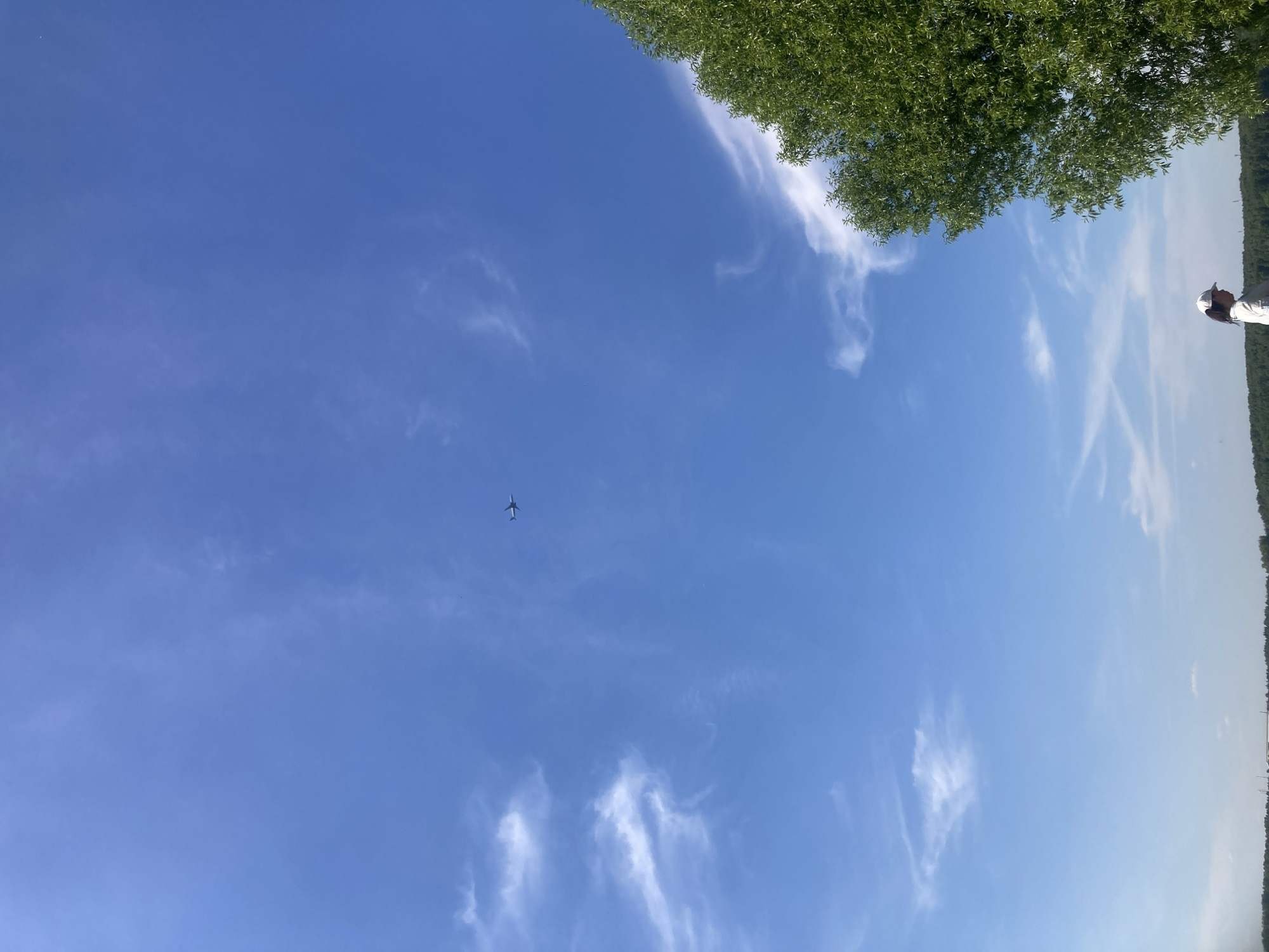 The image displays an outdoor scene under a bright blue sky with scattered, wispy white clouds, located in Kapustino, Russia. A light-colored aircraft is visible in the upper central portion of the sky, traveling horizontally. The right side of the frame is occupied by a large tree with dense, vibrant green foliage. In the lower right corner, a person wearing a white baseball cap and a light-colored shirt is partially visible, facing left. The distant horizon reveals a dark green treeline or forest, with faint indications of structures or power lines above it.