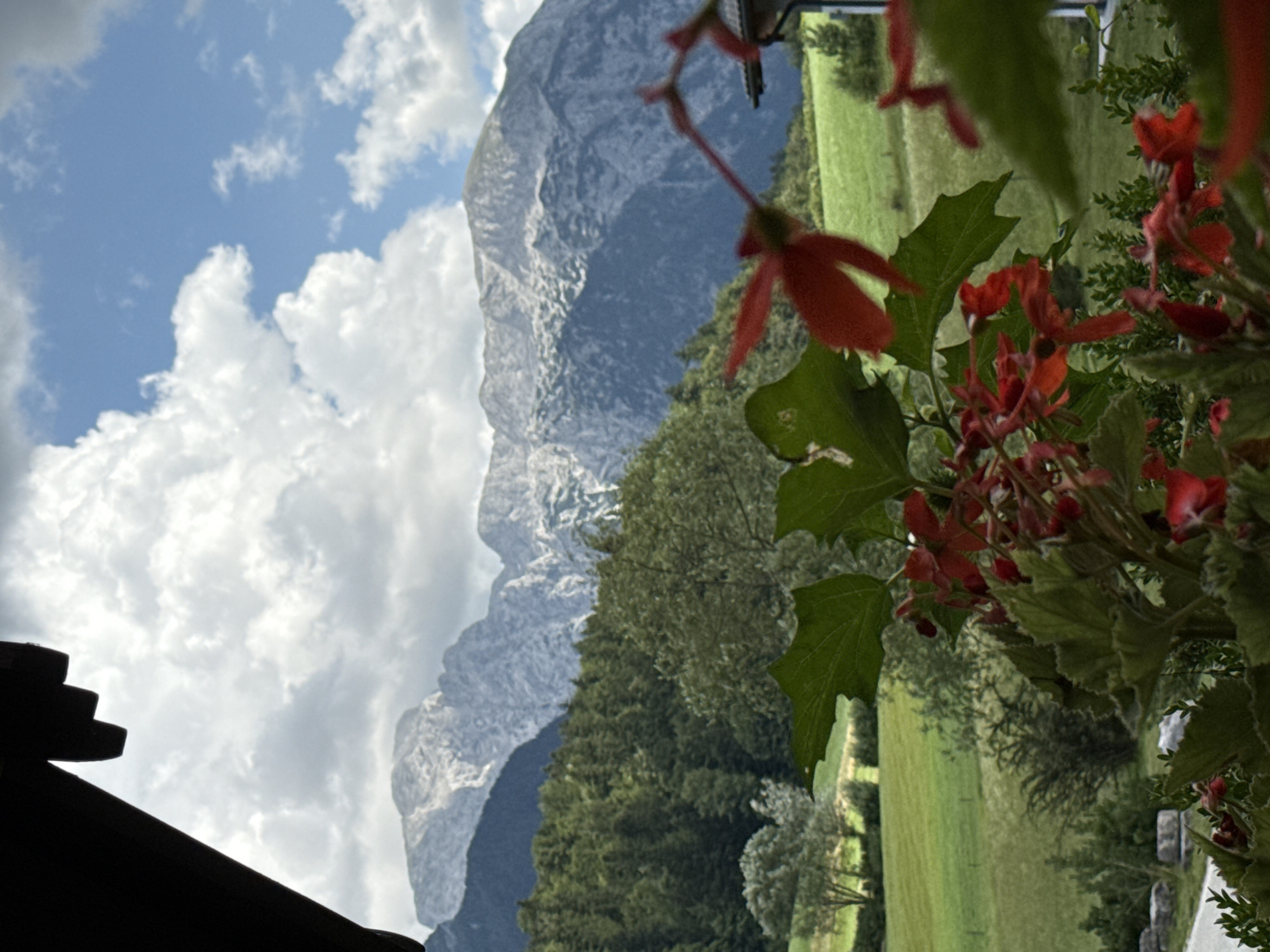 The image captures a scenic view from a covered porch overlooking a mountainous landscape. In the foreground, red flowers and green leaves are prominently displayed, some of which are out of focus. Beyond the flowers, a lush green valley stretches out, dotted with trees. Further in the distance, a majestic mountain range with rocky, snow-dusted peaks dominates the horizon, under a sky filled with scattered white clouds. The overall impression is one of natural beauty and tranquility, suggesting a location in a rural or alpine setting, likely Bischofswiesen, Germany, known for its picturesque mountainous terrain. There are no people or specific actions depicted in the image.