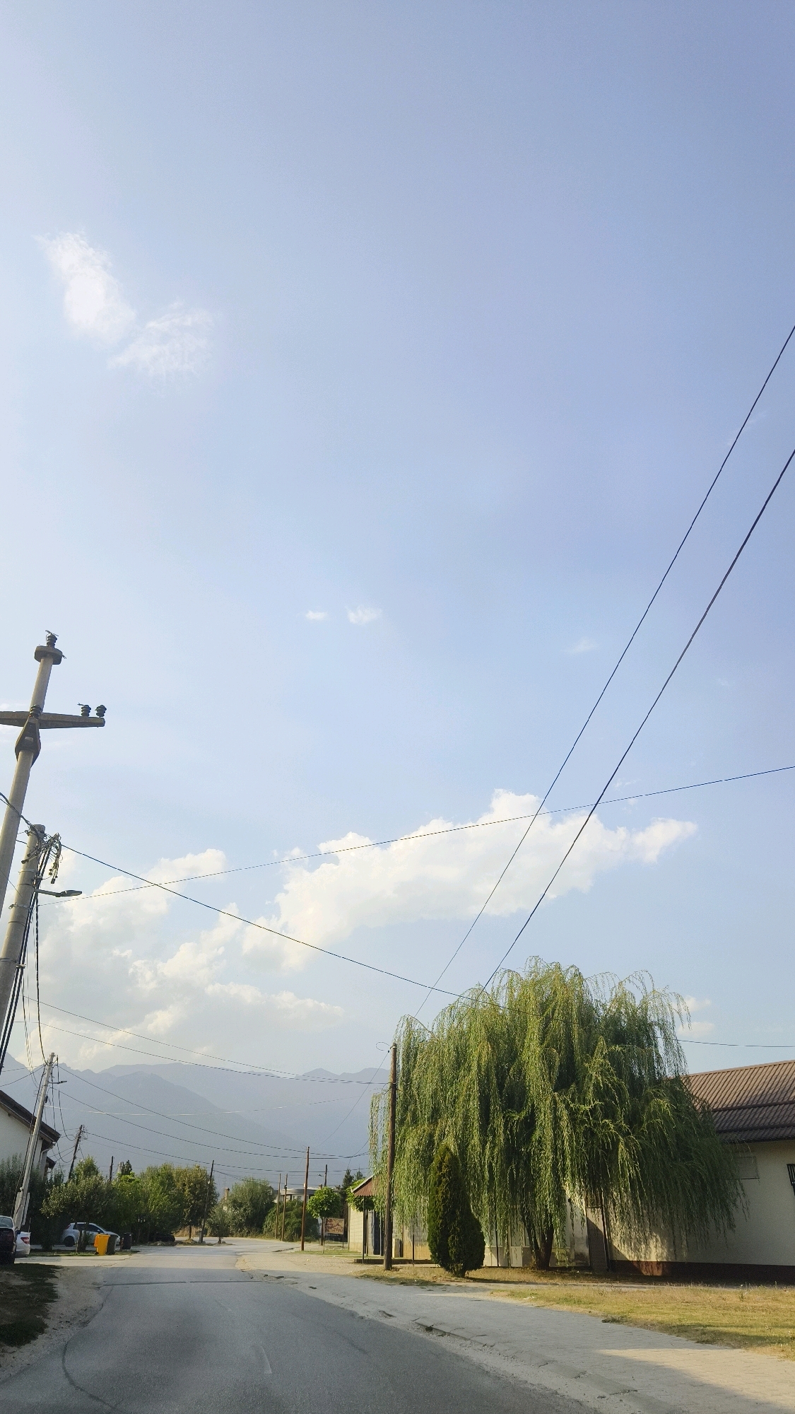 A medium shot captures a street scene in Shemshevo, North Macedonia, under a clear blue sky with scattered clouds. A paved road runs through the center of the frame, bordered by a dirt shoulder and sidewalk. On the left, a white building with a dark roof is partially visible, with a pole supporting power lines. Further down the street on the left, several trees and parked cars are visible, along with trash receptacles. On the right side of the road, a large, mature weeping willow tree with its characteristic flowing branches dominates the foreground, accompanied by a smaller evergreen tree. Behind the trees, the facade of a building with a brown roof and white walls is seen. In the background, rolling hills and mountains stretch across the horizon, their forms softened by a hazy atmosphere. Power lines crisscross the sky, supported by utility poles scattered along the street. The overall impression is a quiet, rural residential area on a bright day.