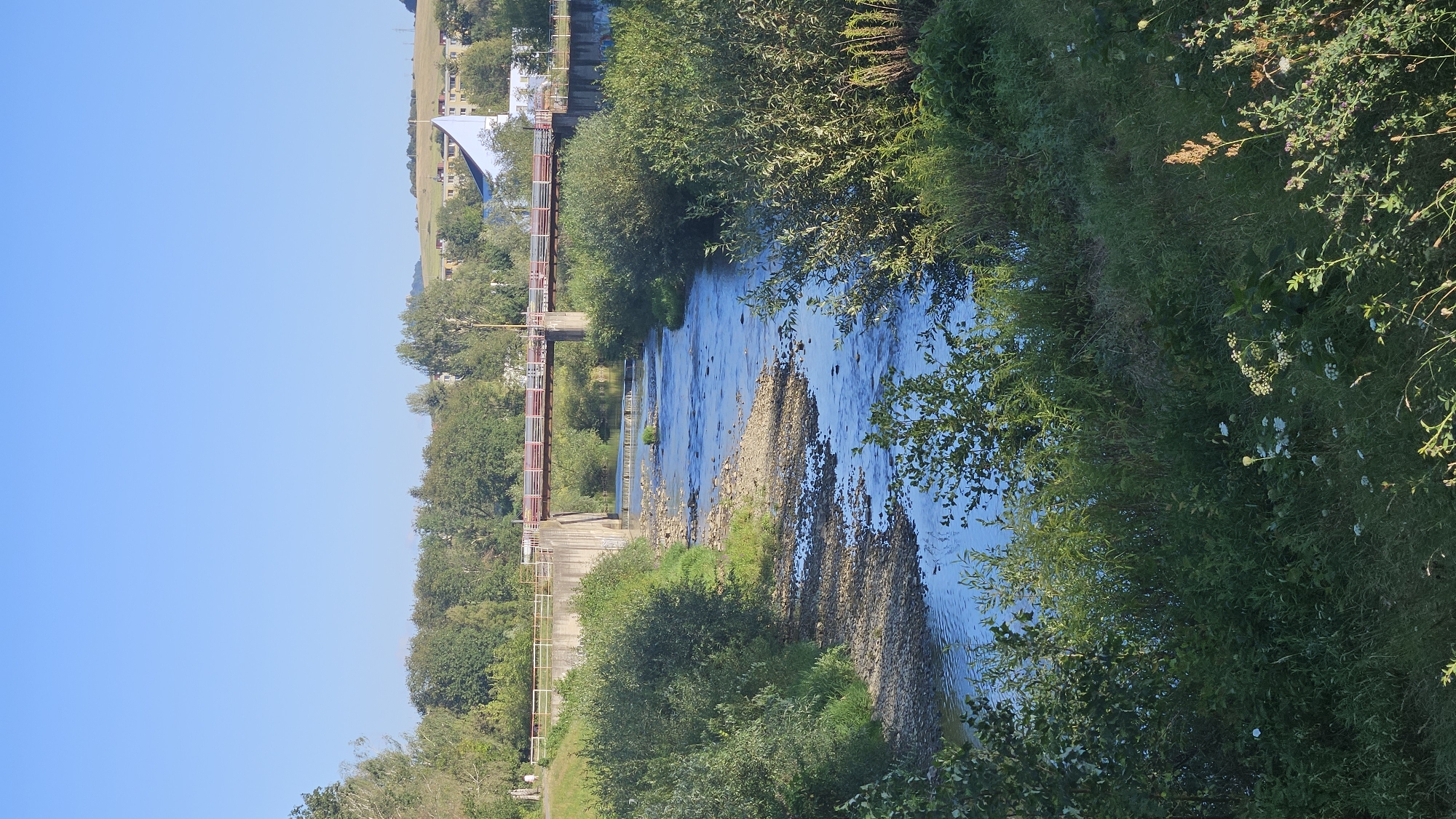 A vertical, eye-level, medium shot captures a river flowing through a landscape on a clear, sunny day. The river, appearing shallow with a rocky bed, meanders from the background towards the foreground. Lush green trees and bushes line both sides of the riverbanks, with some trees in the background appearing taller and more mature. A prominent concrete structure, likely a dam or bridge support, is situated mid-ground, supporting a bridge with a red railing and what appears to be a road or walkway on top. Beyond the bridge, the landscape opens up to rolling hills with some buildings, including a distinctive white, angular structure, visible in the distance. The sky is a vibrant, cloudless blue. The scene is tranquil and natural, with a hint of human infrastructure. This is the Sekčov river, specifically near the dam and bridge structure that leads to the area known as the "Sídlisko III" (Housing Estate III) in Prešov, Slovakia. There are no people or animals clearly visible in the frame.