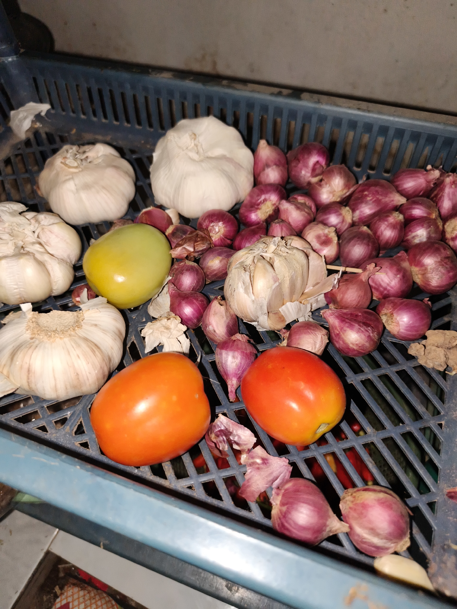 In Pelanjau Jaya, Indonesia, a close-up, high-angle shot captures a dark, textured surface, likely a blue plastic crate, filled with various produce. Several heads of garlic, some with loose outer skins, are scattered throughout. Alongside the garlic are numerous small, reddish-purple onions. Two tomatoes are also present: one is a vibrant orange, while the other is a yellowish-green. A small piece of what appears to be ginger root is visible in the upper right portion of the crate. The overall lighting is dim, casting soft shadows on the produce and the crate's grid pattern.