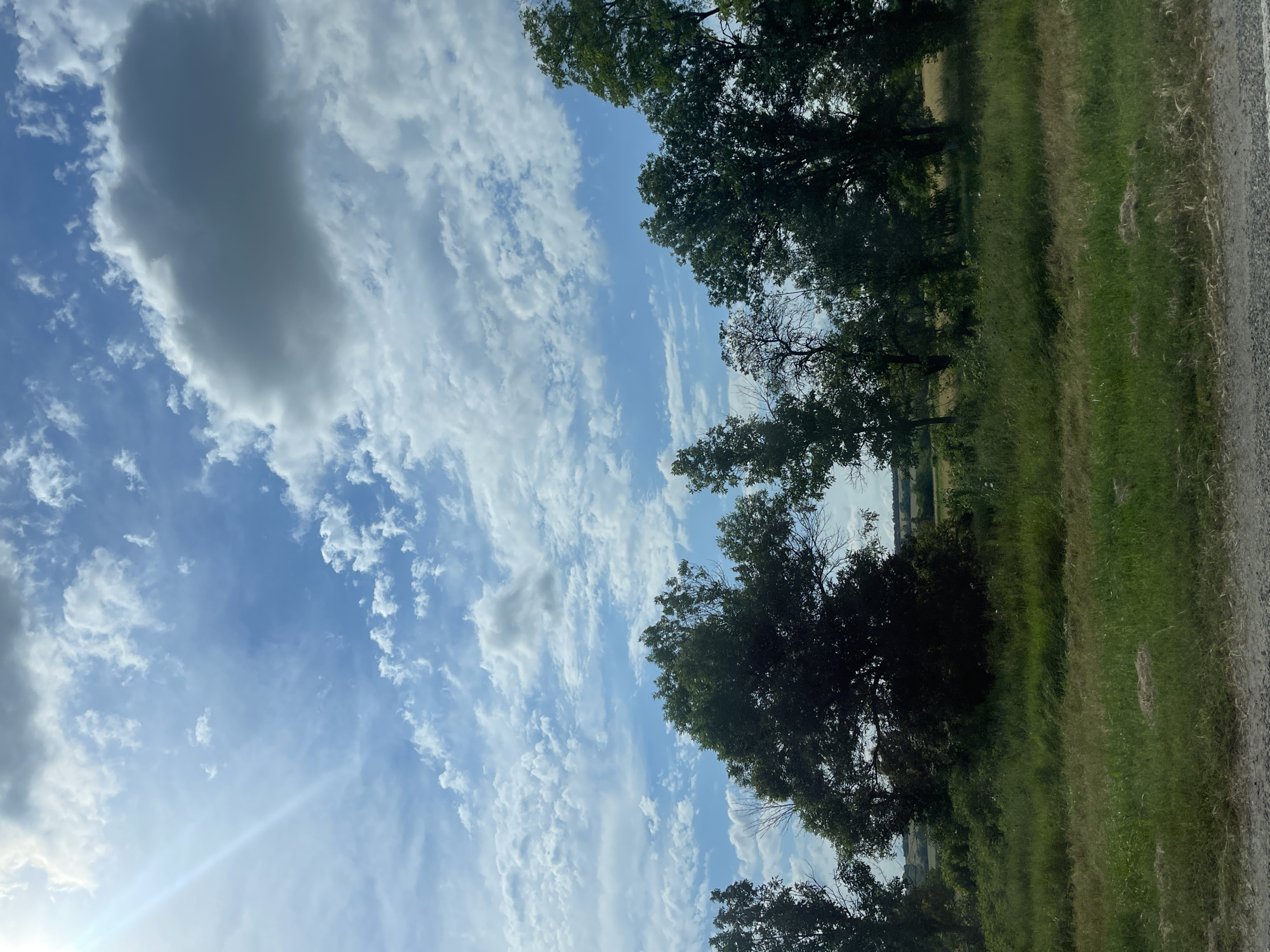 This media file shows a rural landscape in Moskovskoe, Russia, under a cloudy sky. The scene is dominated by a wide expanse of blue sky filled with numerous wispy white clouds, interspersed with larger, darker grey clouds. A bright sunbeam cuts across the lower left portion of the sky. Along the right side of the frame, a line of mature trees with dense green foliage lines the edge of a grassy field. The field itself is a mix of green and dry grass, suggesting a late summer or early autumn setting. A dirt or gravel road is visible along the far right edge of the image. The overall impression is one of a natural, open landscape, possibly on a partly cloudy day. There are no people or explicit objects visible in the scene, and no text is present. The orientation of the image suggests it was taken vertically. The time of day appears to be daytime, given the brightness of the sunbeam and the overall illumination.