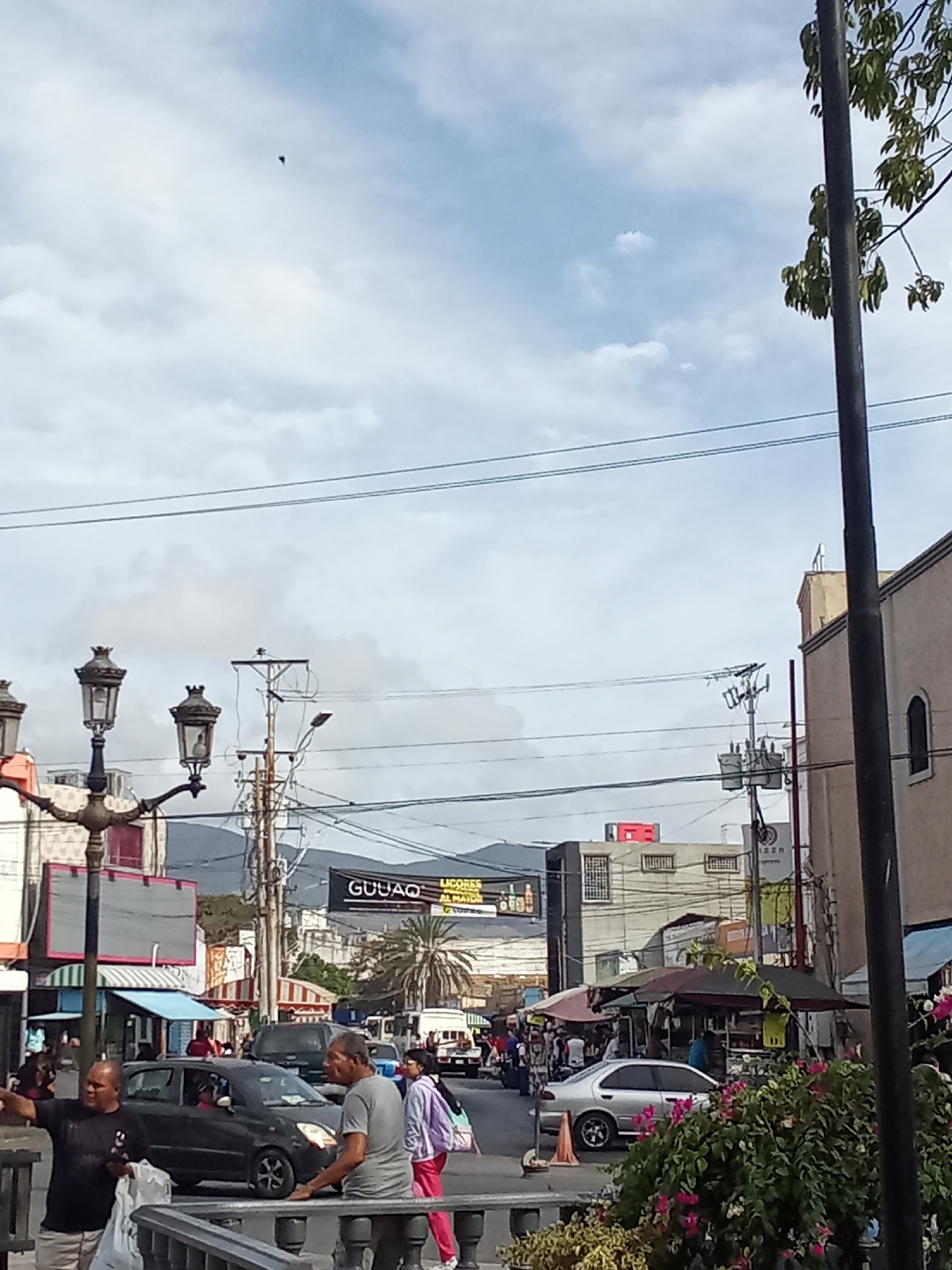 The image presents a daytime street scene in Porlamar, Venezuela, under a partly cloudy sky. In the immediate foreground, a dark-skinned male wearing a black t-shirt and light-colored shorts stands on the left, holding a white bag in his right hand and gesturing with his left hand. To his right, a light-skinned male in a grey t-shirt and dark pants stands next to a grey metal railing. A female in a pink jacket and dark pants walks away from the camera further right. An ornate, black multi-lamp street light fixture is prominent on the left. The lower right foreground contains green foliage with pink flowers.
The midground features a street with pedestrian and vehicular traffic. A dark-colored compact car is visible on the road, with a driver in profile. A silver sedan is parked or moving slowly on the right side of the street. Numerous pedestrians are distributed throughout the scene. Overhead, a complex network of black electrical and utility lines spans the width of the frame, supported by multiple utility poles, one equipped with a transformer. An orange traffic cone is visible on the street near the silver sedan.
Commercial buildings line both sides of the street. On the left, buildings display various awnings, including a blue one. A large, grey billboard is positioned above these structures. On the right, a multi-story, light-colored building features an arched window and a spired architectural element on its roof. Further down the street, a black sign with white lettering prominently displays "GUUAQ LICORES AL MAYOR." Another partially visible sign reads "PIZZA." In the background, mountains are discernible. A small, dark, unidentifiable object is visible in the upper left portion of the sky. The overall environment indicates an active commercial district.