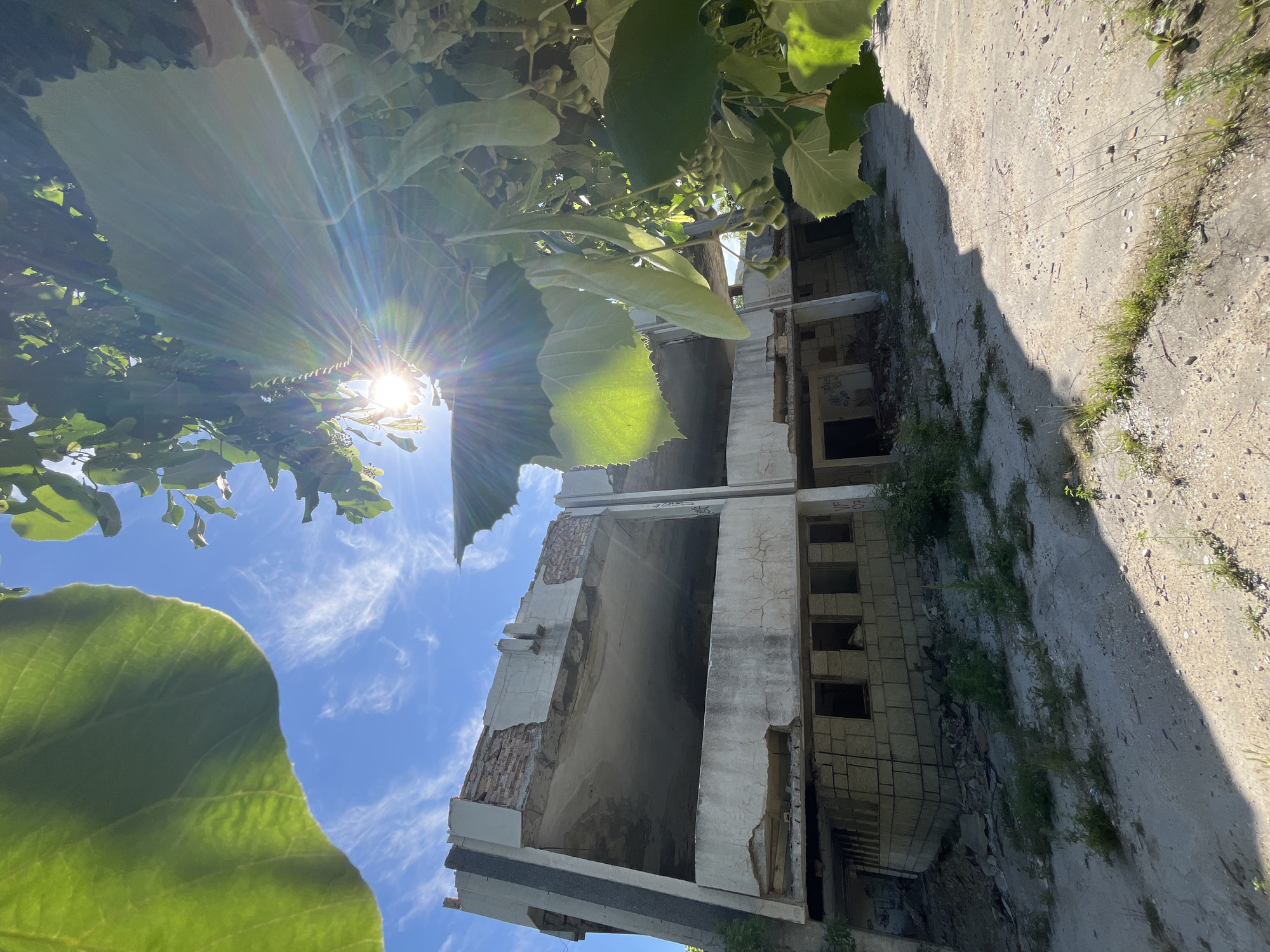 The image depicts the exterior of a dilapidated, multi-story concrete structure, likely an abandoned building, under a bright blue sky with wispy clouds. The sun is prominently visible, partially obscured by lush green foliage in the foreground, casting a strong lens flare.
The building shows significant decay: concrete walls are cracked and crumbling, exposing exposed brickwork in upper sections. Large openings suggest missing floors or roofs, with visible concrete slabs and debris. The lower level of the building is constructed with cinder blocks, featuring small, dark openings that appear to be windows or entrances. Graffiti is visible on some of the walls. The ground surrounding the building is a mixture of cracked concrete, dirt, and sparse vegetation, indicating an unmaintained area.
This scene is consistent with the remnants of the former Varna Zoo's administrative building or restaurant, located in the Primorski Park in Varna, Bulgaria. The architectural style and the state of disrepair align with descriptions and imagery of abandoned structures within that park. No individuals are present in the image.