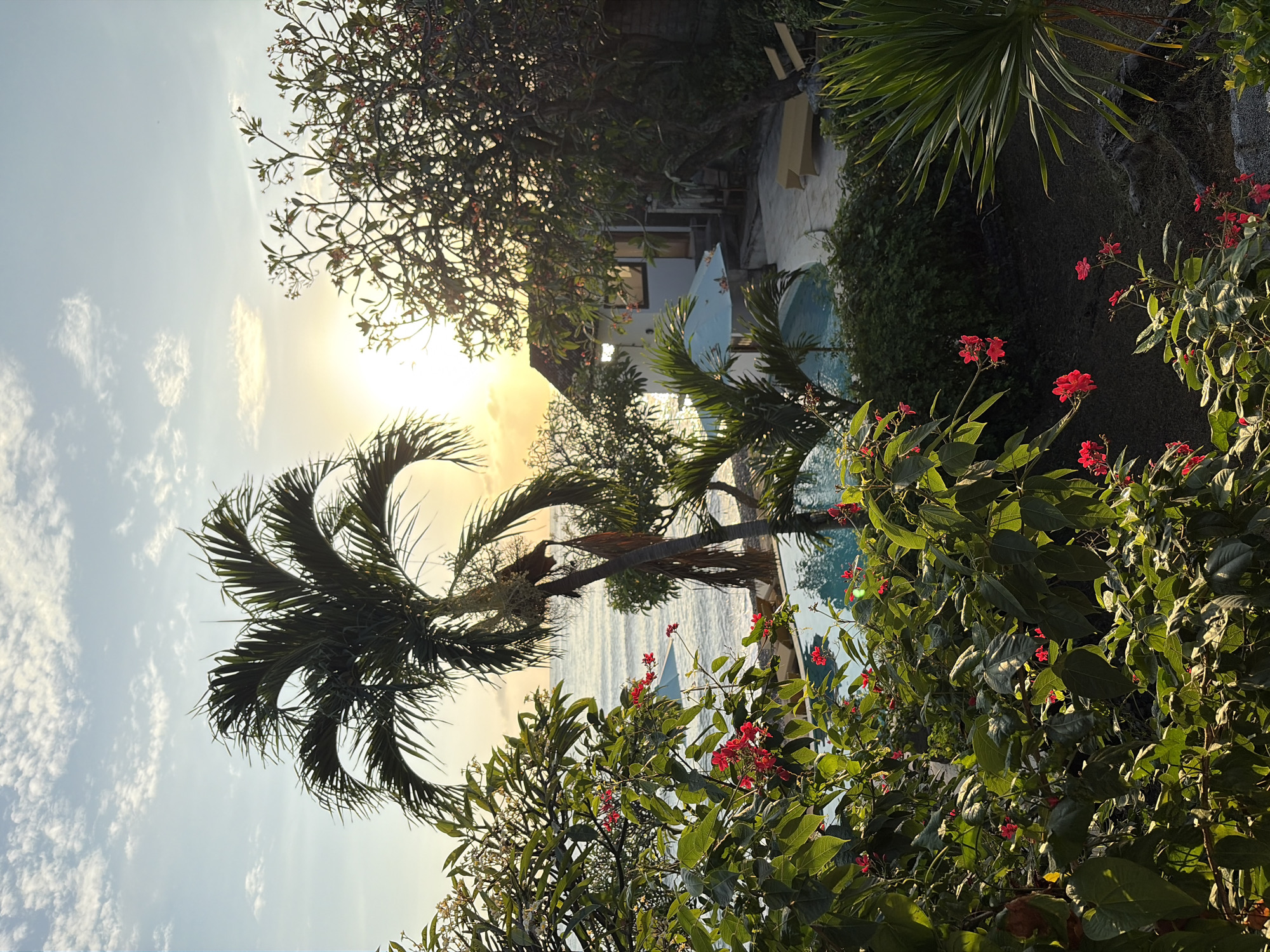 The image depicts a tranquil scene at sunrise or sunset, likely in Abang, Indonesia, with the sun casting a warm glow over the ocean. In the foreground, lush green foliage with vibrant red flowers frames the view. A tall palm tree stands prominently, with its fronds reaching towards the sky. Beyond the foliage, a glimpse of a swimming pool with blue water is visible, along with a white building that appears to be a resort or villa. The ocean stretches out to the horizon, calm and reflecting the soft light of the sky, which is adorned with scattered clouds. The overall atmosphere is serene and tropical, suggesting a peaceful vacation setting.