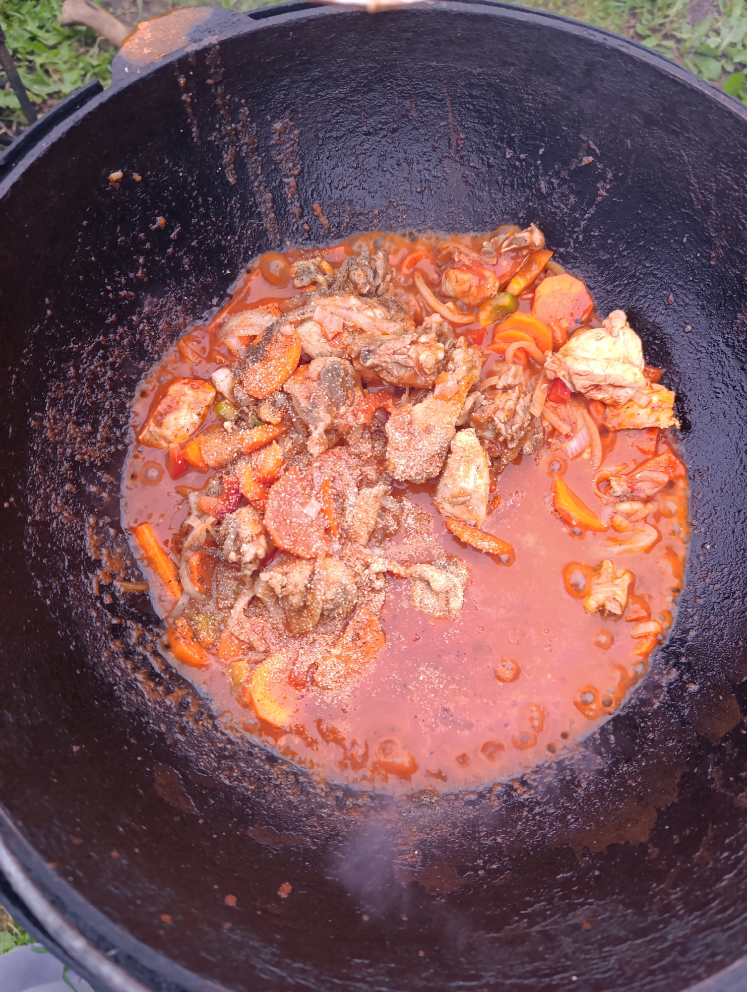 A top-down, medium shot captures a close-up of food cooking in a black cast-iron cauldron. The cauldron is filled with a reddish-orange sauce that partially submerges pieces of chicken, sliced carrots, and onions. The food appears to be seasoned with spices, creating a textured surface. Some steam is visible rising from the hot dish. The exterior of the cauldron shows signs of use and wear. The background is blurred, showing hints of green grass and what appears to be a wooden handle or support structure, suggesting an outdoor cooking setting. The location is unknown.
