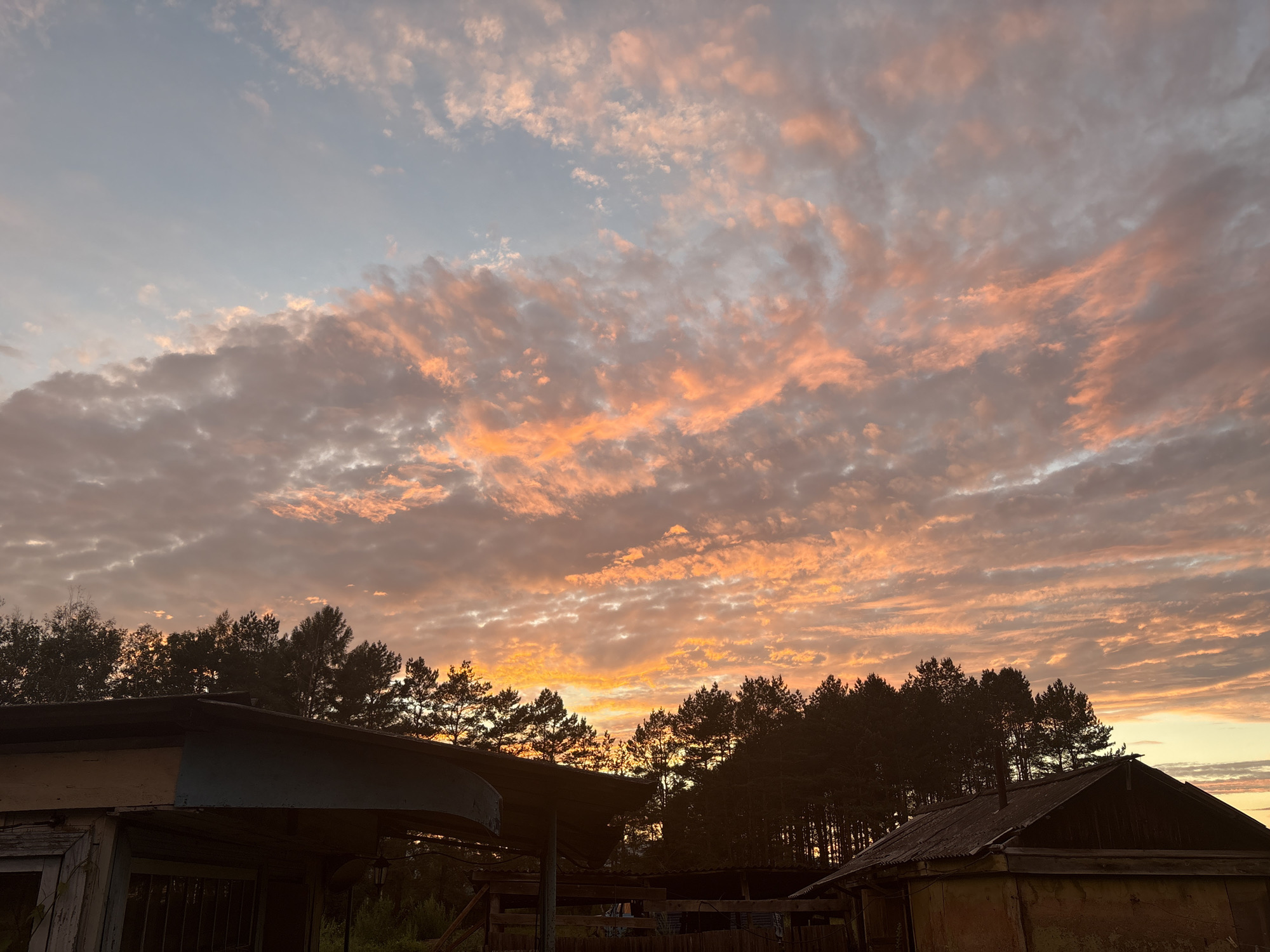 The image depicts a rural scene in Malinovo, Russia, at dusk. The sky is filled with dramatic clouds, painted in hues of orange, pink, and pale blue, indicating the setting or rising sun. Silhouetted against the colorful sky are tall, dark trees that form a dense line across the horizon. In the foreground, several rustic structures are visible. To the left, a dark, angular roof of a building extends into the frame. To the right, a smaller, weathered building with a dark, corrugated roof is prominent. The overall impression is one of a serene, natural landscape transitioning into night.