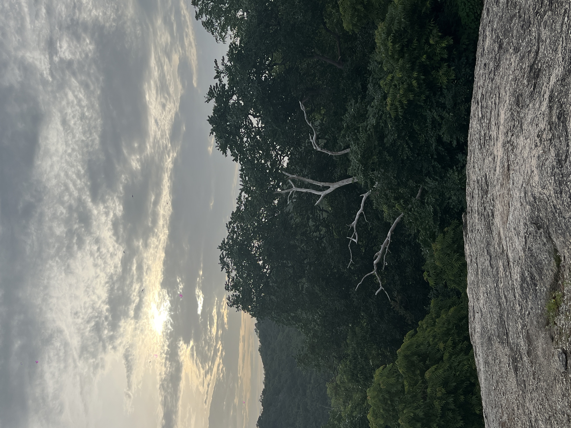 The image depicts a serene landscape scene, likely from a vantage point atop a large, grey, rocky outcrop in the foreground. Beyond the rocks, a dense forest of lush green trees stretches into the distance, forming rolling hills under a cloudy sky. The sun is visible, partially obscured by the clouds, casting a soft, diffused light on the scene. There are several small, pink, balloon-like objects floating in the sky, along with a few silhouetted birds. A bleached white tree trunk and its branches stand starkly against the dark green foliage in the mid-ground. The overall impression is one of natural beauty and tranquility. The location is identified as being in the city of Hua Hin Municipality, Thailand.