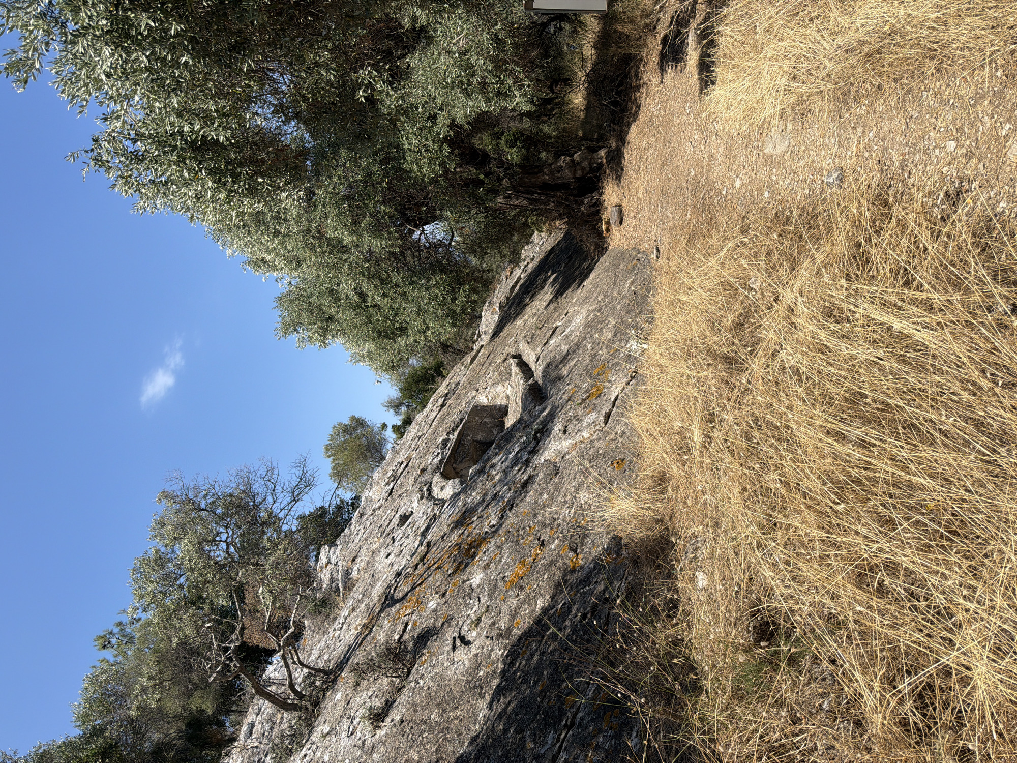 The image depicts a natural outdoor scene under a clear blue sky with a single white cloud. The foreground is dominated by dry, golden grass and a dusty, unpaved pathway that curves towards the right of the frame. To the left, a large, rocky incline is covered in sparse vegetation and patches of orange lichen. Several trees with green foliage are visible, with their branches reaching towards the sky. One gnarled, leafless tree is prominently situated on the rocky slope. In the middle ground of the rock face, there appears to be a small, dark opening or recess carved into the stone, possibly a man-made structure or natural feature. The overall impression is one of a dry, Mediterranean landscape, potentially on the island of Thassos, Greece, given the vegetation and terrain commonly found there. There are no people or animals visible in the image.