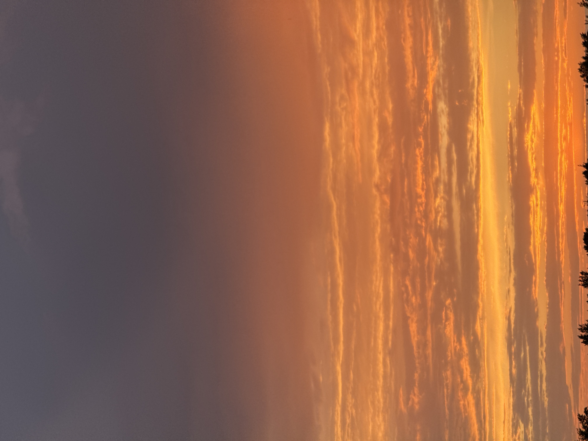 The image is an outdoor shot of a sunset. The sky transitions from a dark blue-grey on the left to shades of orange and yellow on the right. There are thin, linear clouds stretching vertically, with the colors intensifying towards the right. Silhouetted trees are visible along the extreme right edge of the image. It is not possible to confirm if the image was taken in Nizhny Novgorod, Russia or any other location. There are no people or interactions visible.