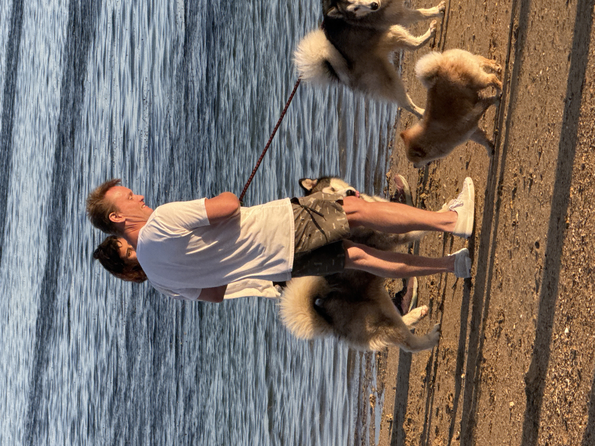 In Denpasar, Indonesia, two people are walking with three dogs along the shore of a body of water. The person in the foreground, a male with blonde hair, wears a white t-shirt and patterned shorts. He is holding a red leash attached to two dogs. The first dog, a large husky-type breed with a fluffy tail, stands to his left. The second dog, also a husky-type breed with a white chest and tail, is positioned further to the right. A smaller, fluffy tan dog walks in front of the male. Behind the male, another person, a female with dark hair, partially obscured, is visible. She wears a white shirt. The scene takes place on a sandy beach with calm water in the background, bathed in the warm light of what appears to be sunset or sunrise.