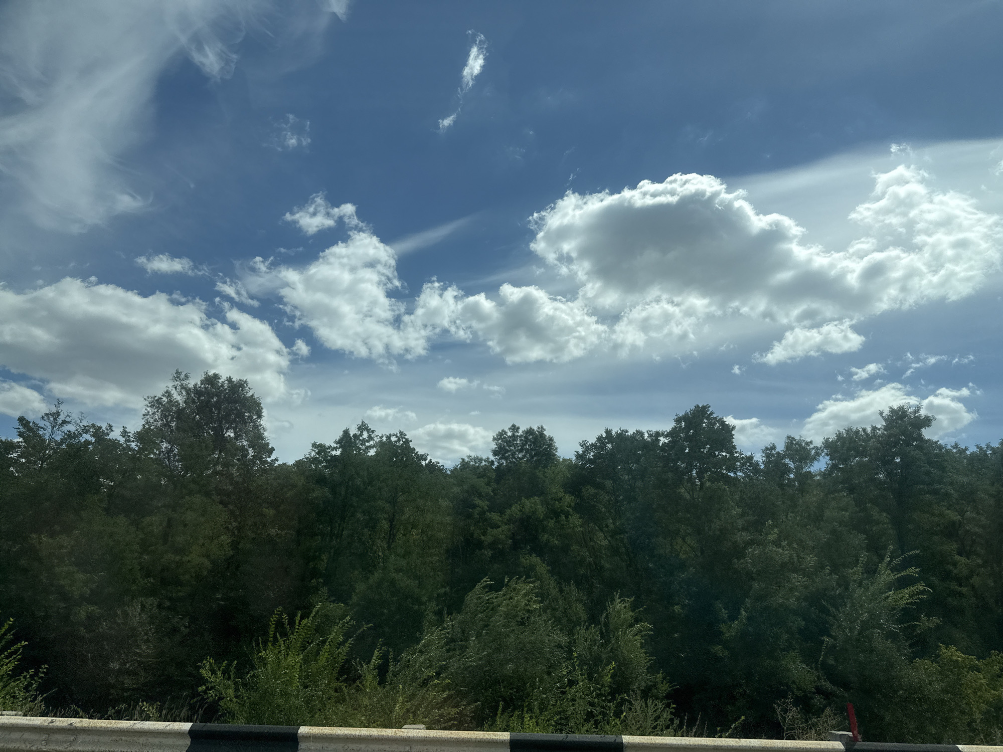 A wide shot captures a lush green forest bordering a paved road in Răzeni, Moldova. The sky above is a vibrant blue, dotted with fluffy white clouds and wisps of cirrus. The foreground features a concrete barrier with black and white diagonal stripes, separating the road from the dense foliage. The trees are a mix of deciduous types, with varying shades of green and some taller specimens reaching towards the sky. The overall impression is one of a natural, semi-urban landscape under a bright, clear sky.