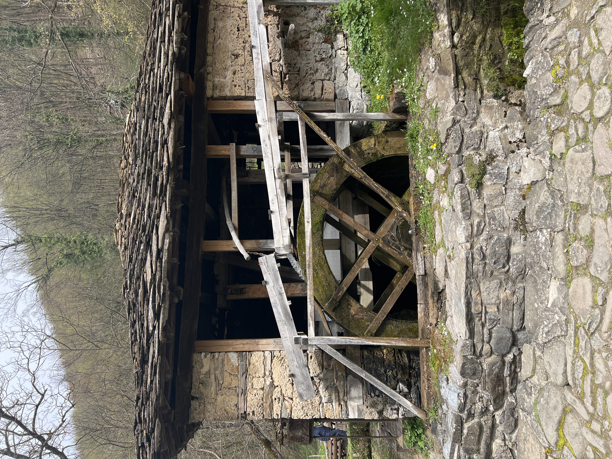 The image shows a watermill in the Etar Architectural-Ethnographic Complex in Gabrovo, Bulgaria. The mill is constructed of stone and wood, featuring a large water wheel partially obscured by wooden supports and scaffolding. Moss and greenery grow on the structure, indicating damp conditions. The roof is made of layered stone tiles. To the left of the mill are bare trees and foliage, hinting at an early spring scene. A cobblestone pathway or wall is on the right side of the mill, with grass and wildflowers growing. A human figure is partially visible below the mill's structure.