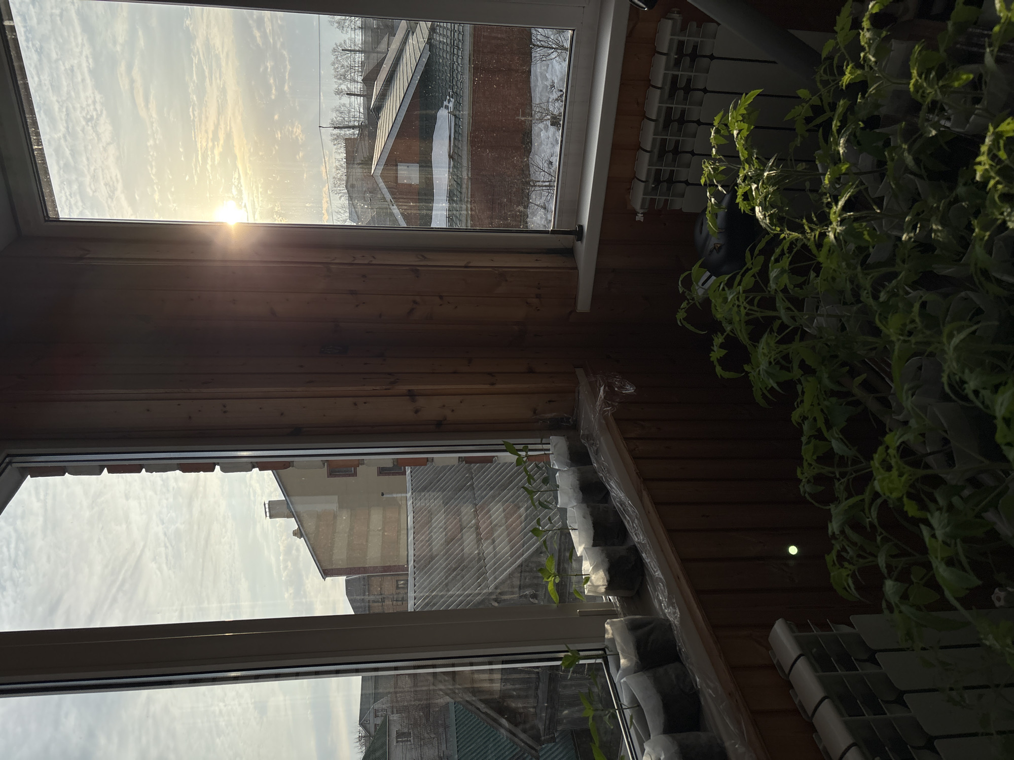 The image depicts an interior view looking out of two windows in what appears to be a room or balcony. The room is lined with wooden panels.
The top window shows a view of a sky with bright sunlight breaking through the clouds. In the foreground, there is a residential building with a roof covered in snow.
The bottom window shows a view of the side of a residential building with a grey roof. Several plants in small containers are arranged in front of the window. Another plant, larger in size, sits to the right of the window.
Based on the presence of the roofed residential buildings and plant life, this appears to be a home in a residential area. The location in the city of Ulyanovsk, Russia, can not be verified with certainty.