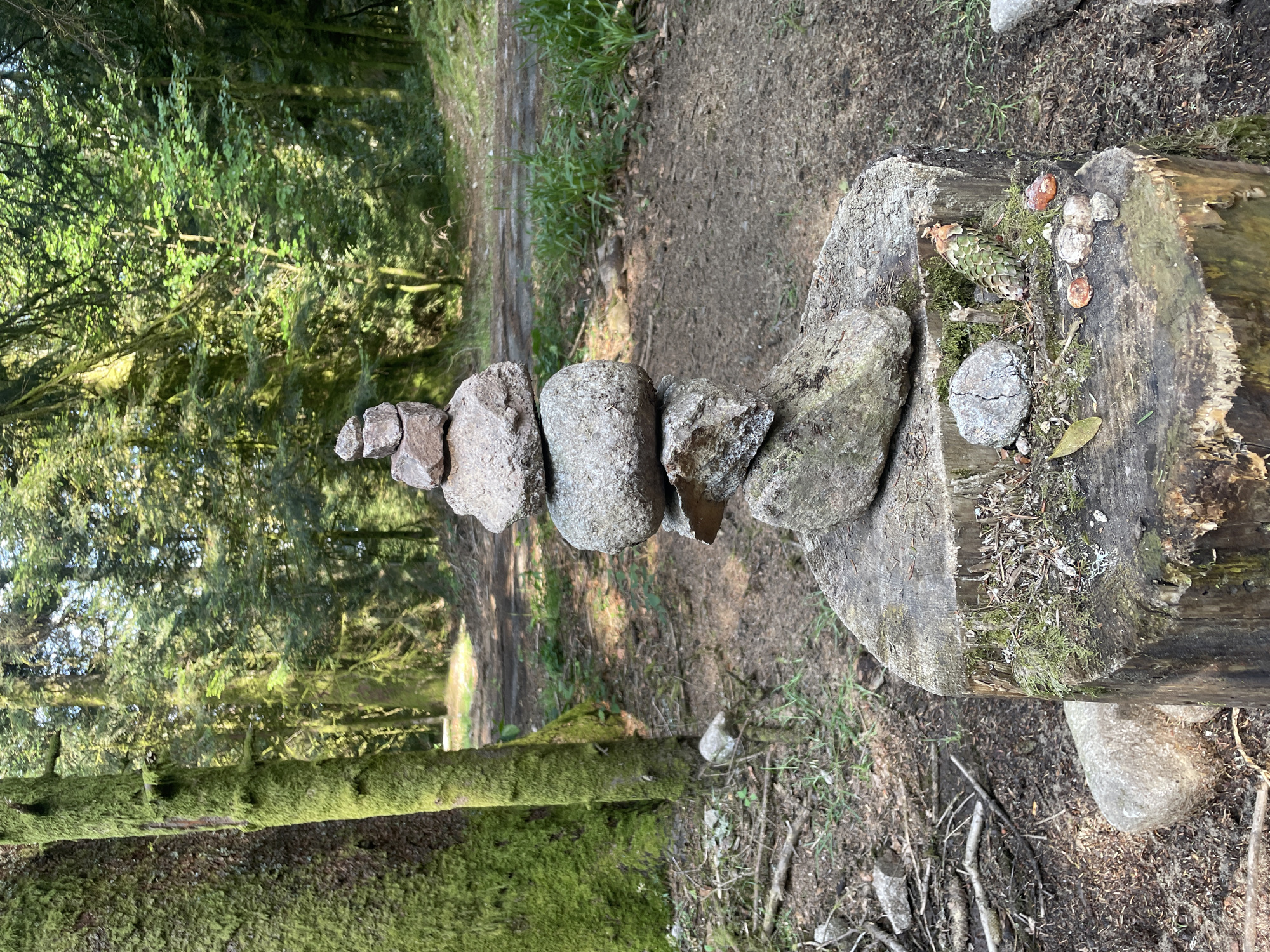 The image depicts a cairn, a man-made pile of stones, situated in a forest environment. The cairn is centrally positioned and constructed from various gray stones of different sizes, stacked precariously on top of each other. It rests upon a weathered tree stump. Surrounding the stump and the cairn are the forest floor, characterized by dirt, fallen leaves, and small branches. In the background, a dirt path winds through a dense forest with tall trees. The trees are covered in moss, particularly a large tree trunk visible to the left of the frame. The lighting suggests it is daytime, with sunlight filtering through the tree canopy. There are no people or animals visible in the image. The location is described as Gérardmer, France, implying a natural, forested area within or near the city.