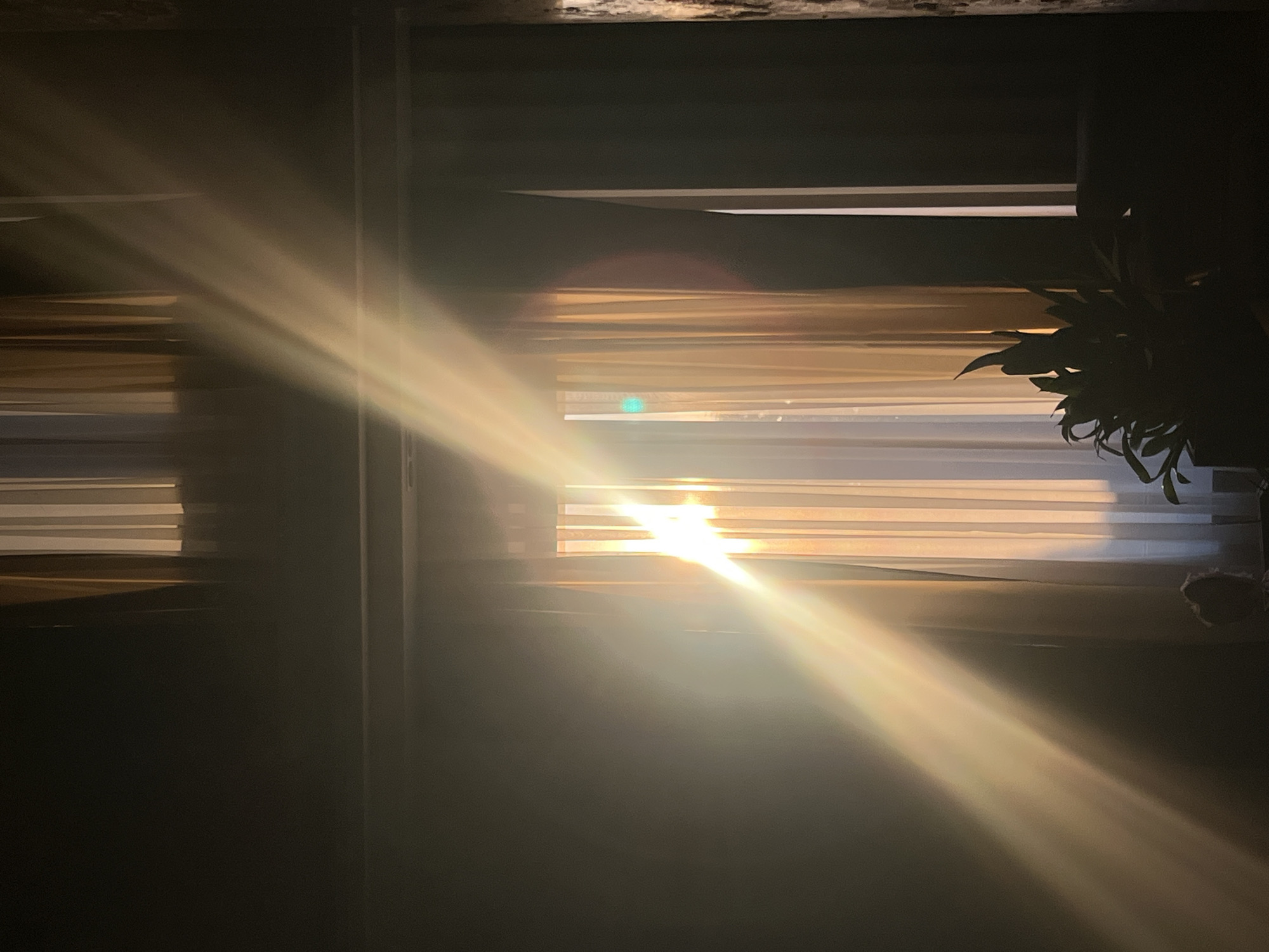 The image captures a dramatic scene of sunlight streaming through horizontal blinds. The light creates strong diagonal beams, illuminating a portion of a room and casting shadows. The blinds appear to be made of a material that diffuses the light, giving it a soft, warm glow. A dark silhouette of a plant is visible on the right side of the frame, its leaves reaching towards the light. The overall mood is serene and contemplative, with the strong contrast between light and shadow evoking a sense of drama. The scene appears to be indoors, possibly a living room or bedroom, with the light suggesting it is either sunrise or sunset. There is no visible text in the image. The location context of Koroviia, Ukraine, provides a geographical setting for this domestic scene.