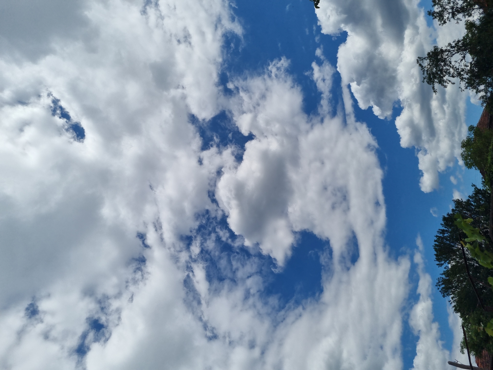 The image captures a bright, partly cloudy sky over Dabravka, Bulgaria. The sky is a vibrant blue, punctuated by fluffy white cumulus clouds, some of which are casting soft shadows. Patches of darker, denser clouds are visible, suggesting dynamic weather patterns. In the lower portion of the frame, the tops of green trees and the reddish-brown tiled roofs of houses are visible, indicating a residential or semi-rural setting. The overall impression is one of a pleasant, overcast day.