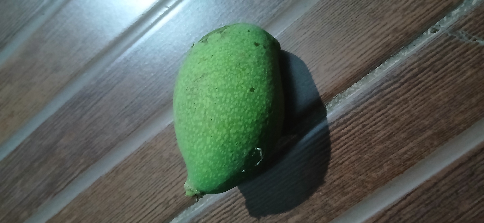 A single, green, oval-shaped object, possibly a fruit, rests on a brown, wood-textured surface with thin, light-colored lines running diagonally across it. The object is positioned slightly to the right of the center of the frame and is casting a shadow to its left. The surface appears to be made of parallel planks or tiles. The lighting is uneven, with a brighter area on the right side of the frame and a darker shadow cast by the object. The scene is observed from a high angle. The location in Sekarputih, Indonesia, is not evident from the image itself.