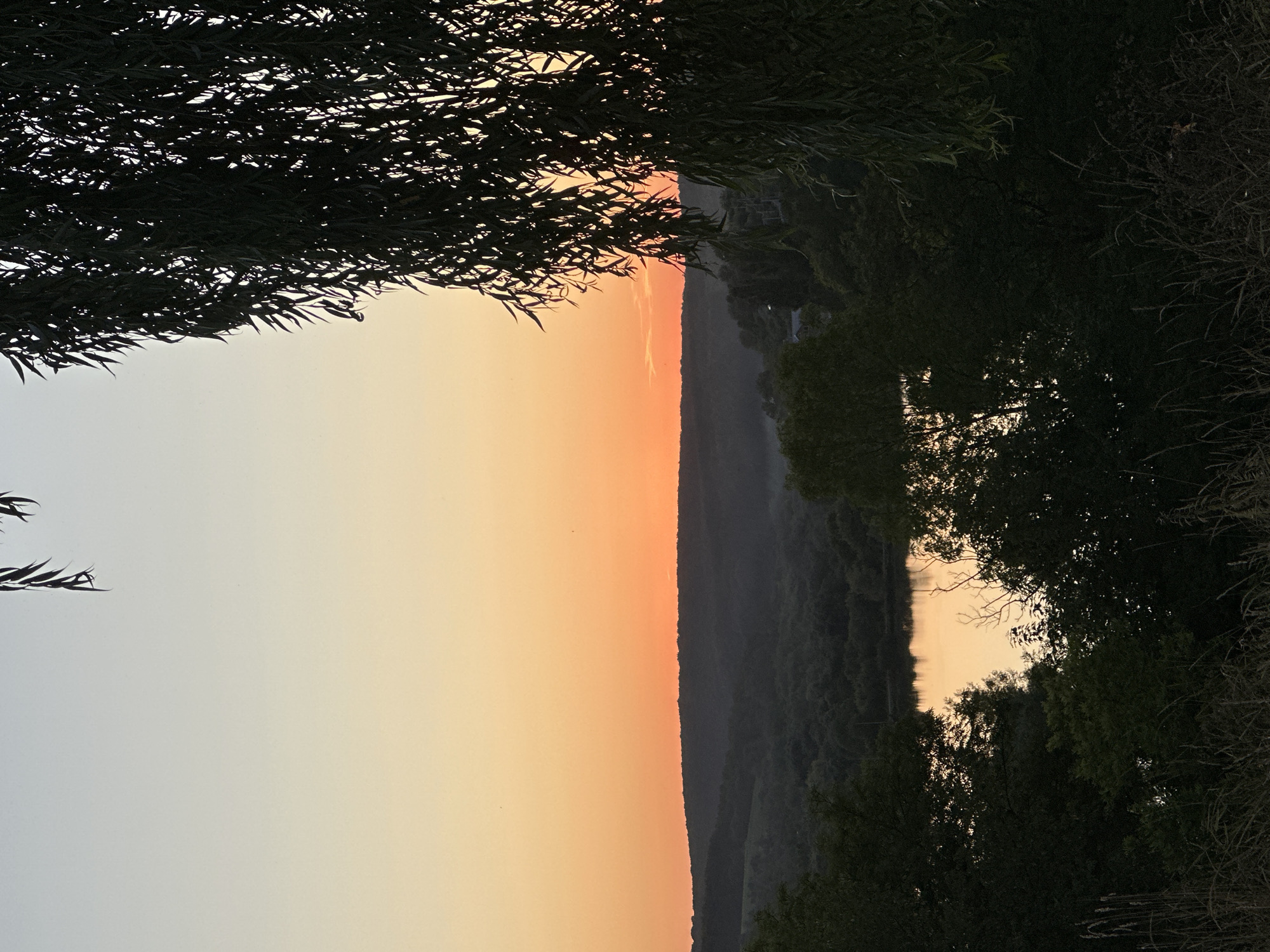 The image depicts a serene sunset scene in Makiv, Ukraine, characterized by a vibrant orange and yellow gradient sky above a rolling landscape of dark green hills covered in trees. In the foreground, the dark silhouette of a weeping willow tree with its long, trailing branches frames the right side of the image. Below the hills, a body of water, likely a river or lake, reflects the warm colors of the sunset, creating a shimmering effect. The overall impression is one of natural beauty and tranquility, with the warm tones of the sunset contrasting with the dark silhouettes of the trees and landscape.