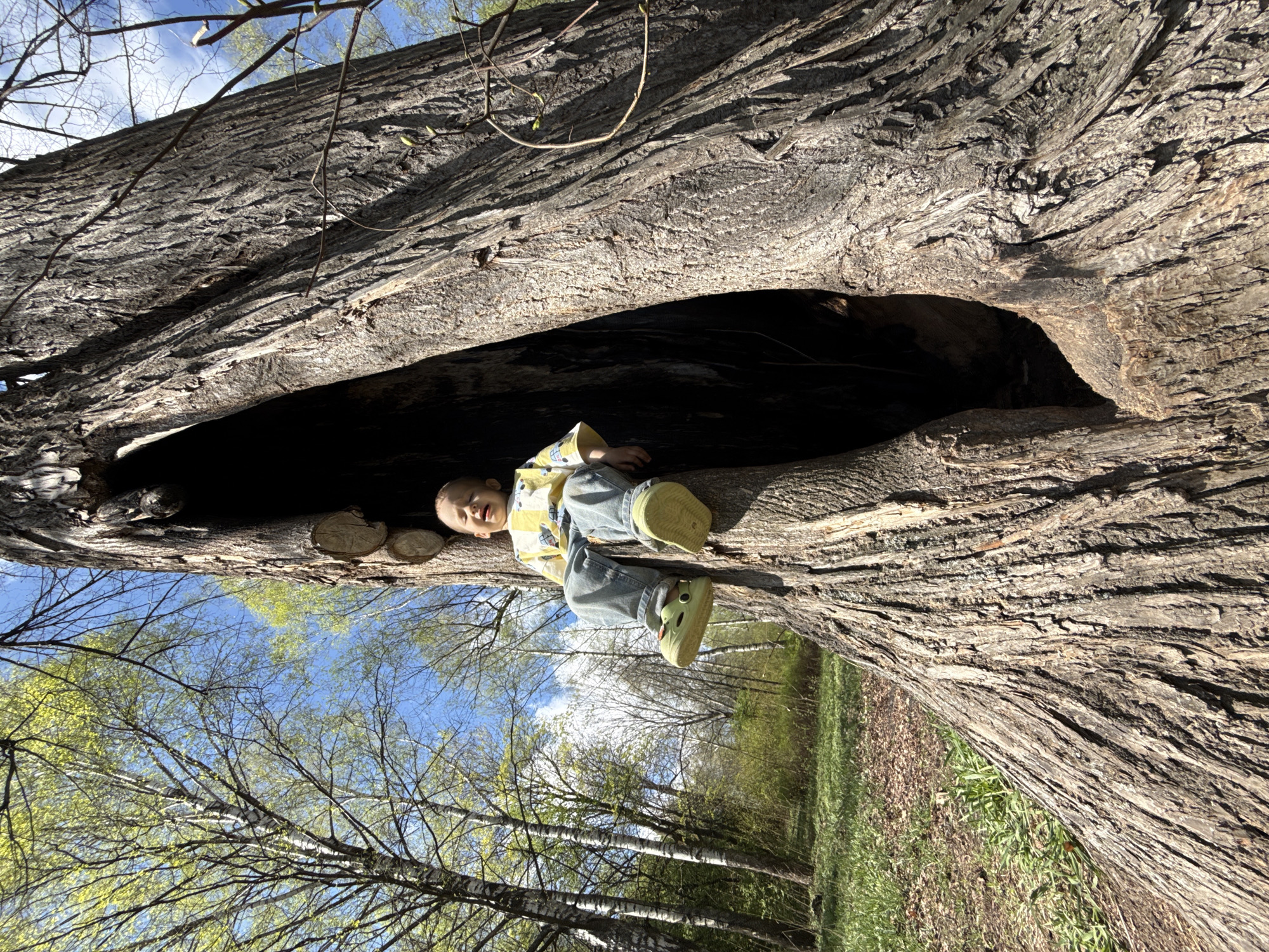 A low-angle shot shows a child lying inside the hollow of a large, horizontal tree trunk. The child is dressed in jeans, a yellow shirt, and light green shoes. The tree trunk's bark is rough and textured. Beyond the tree, there's a glimpse of a forest with bare trees and some greenery, as well as a blue sky visible through the trees. The image was taken outdoors, likely during the day. Location: Rusanovo, Russia.
