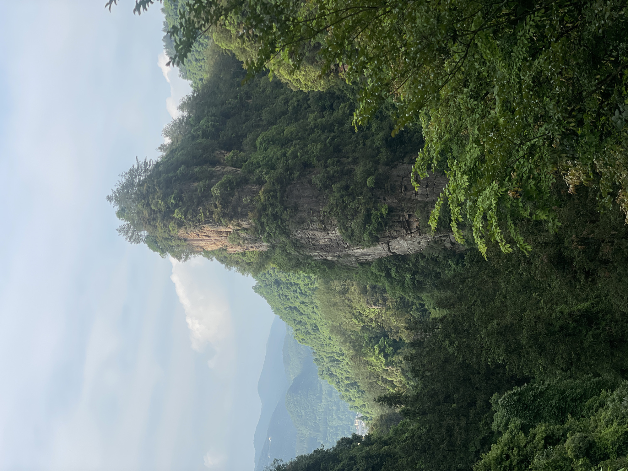The image captures a geological feature within the scenic Wulingyuan area, Hunan Province, China. Dominating the view is a tall, slender sandstone pillar or rock formation, densely vegetated with trees and shrubs. Its vertical face is textured with rock strata. To the sides and in the background are other hills and mountains, covered in lush greenery, suggesting a humid, subtropical environment. The sky is overcast with light clouds.