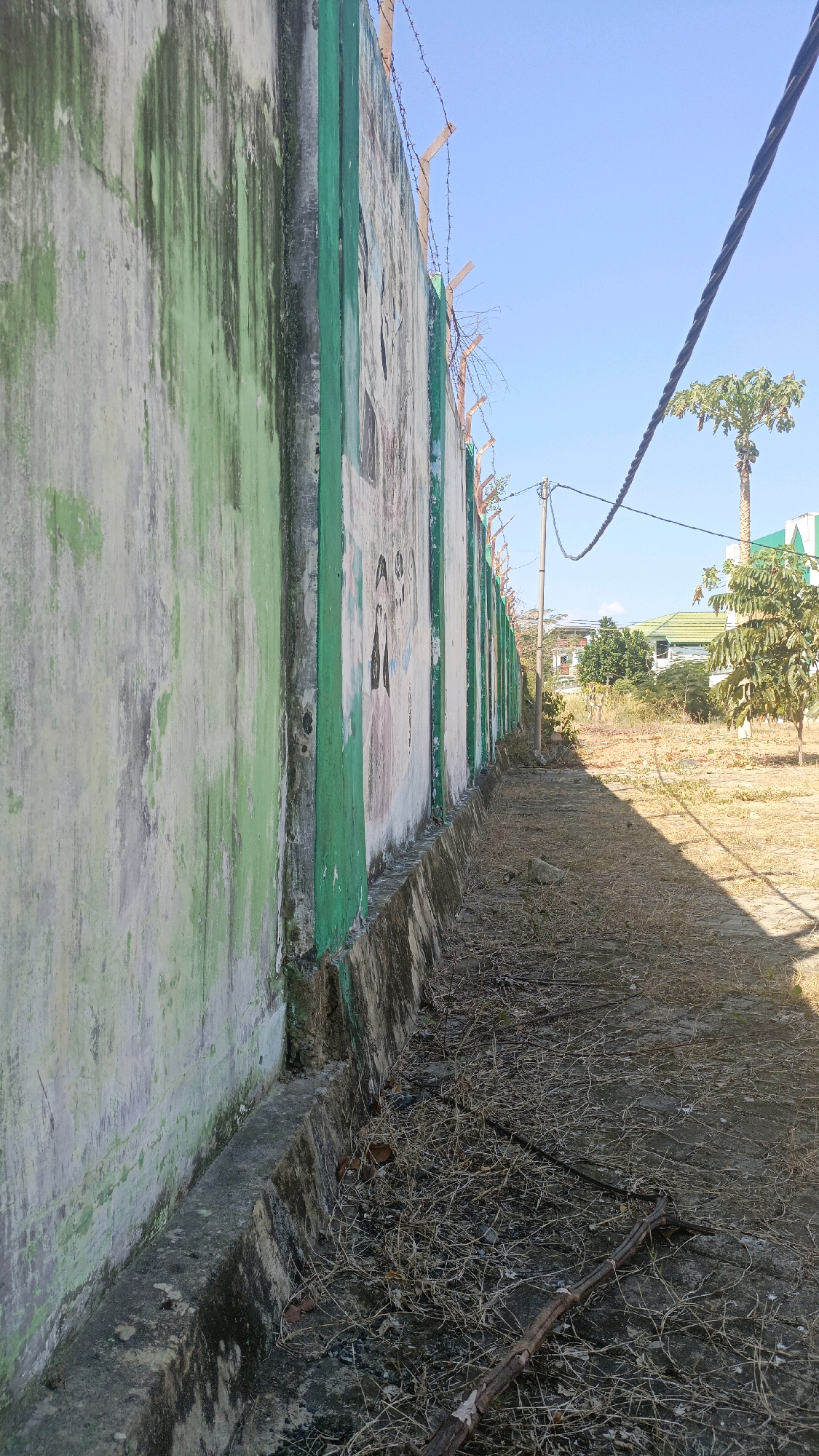 The image depicts a weathered concrete wall with green accents and barbed wire along its top edge. The wall is partially covered in green and gray staining, suggesting age and exposure to the elements. Along the base of the wall, there is a concrete ledge that transitions into a dry, overgrown area with sparse vegetation and dead branches. In the background, beyond the wall, is a clear blue sky, a power line, and several trees, including a papaya tree. Further in the distance, there are buildings with green roofs, characteristic of a residential or institutional area. The overall scene suggests an outdoor environment in a somewhat neglected state, possibly on the outskirts of a settlement. The location is identified as Desa Pabahanan, Pelaihari, Tanah Laut, Indonesia, indicating a specific rural or semi-rural setting within that region. There are no people visible in the image.