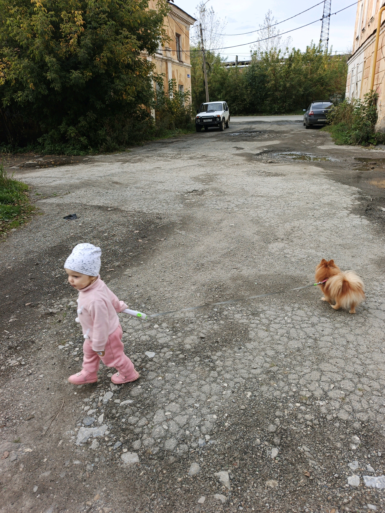 In Zlatoust, Russia, a young child wearing a pink outfit and a patterned hat is walking on a cracked asphalt surface, holding a leash attached to a fluffy orange Pomeranian dog. The dog is walking ahead of the child. The background shows trees, buildings, and parked cars.