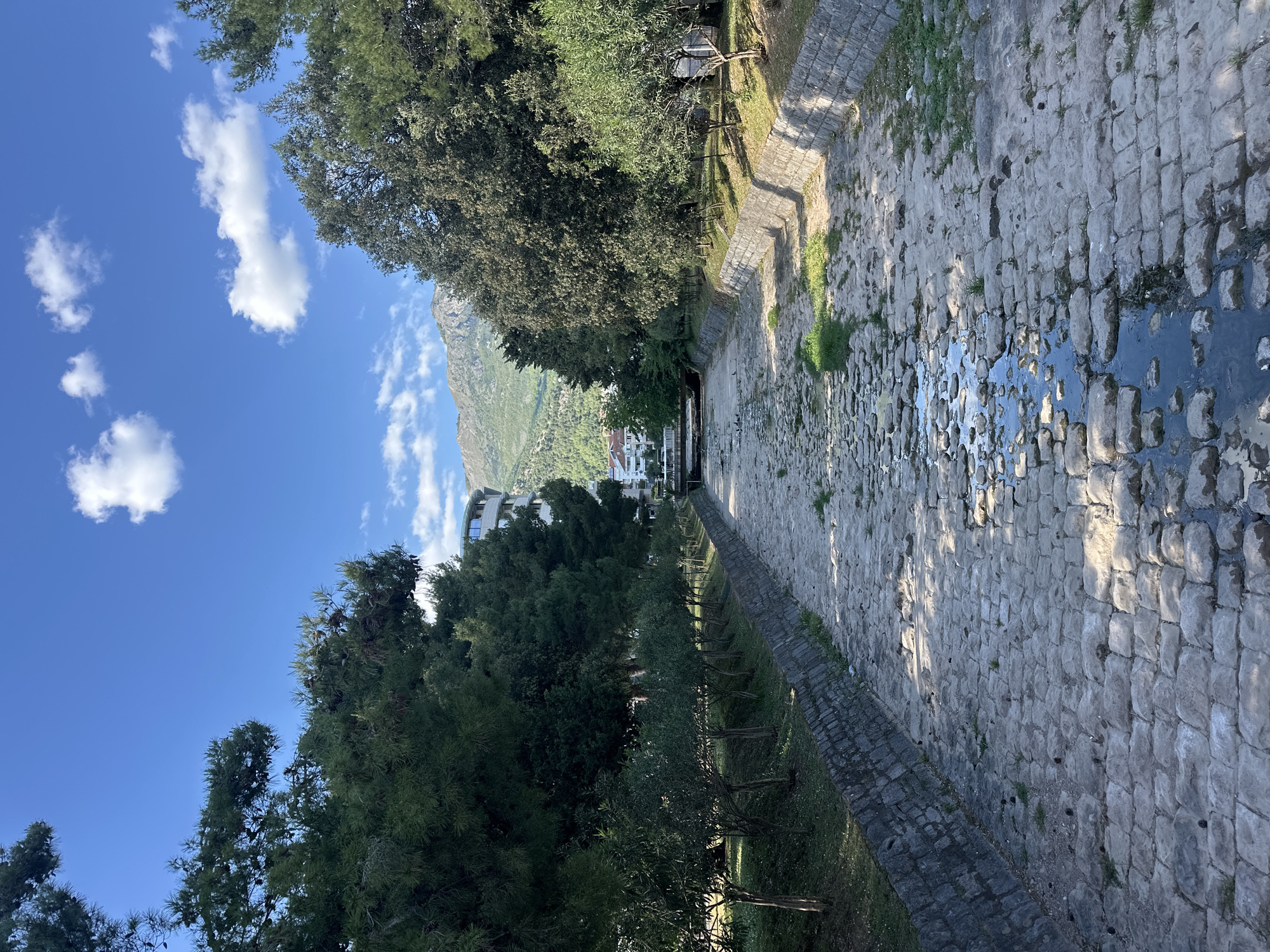 This outdoor image, captured in Budva, Montenegro, displays a sun-drenched landscape under a clear blue sky. The foreground and midground on the right are dominated by a wide, stone-paved channel or dry riverbed. The channel floor consists of irregular, light-grey stone blocks, with several pools of standing water reflecting the bright sky. Patches of green grass grow between the stones along the banks.
Parallel to the channel, on the left side of the frame, runs a narrow, paved pathway. Adjacent to this path is a grassy area featuring a neatly spaced row of young trees, possibly olive trees. Behind these, a denser line of mature evergreen trees provides a lush, green canopy and casts long shadows across the ground, indicating bright daylight.
In the mid-distance, nestled amongst the trees, several buildings with white facades and red roofs are visible, suggesting a coastal town or settlement. The background is characterized by towering, verdant mountains, some with visible rocky faces, rising majestically under the expansive sky. The sky itself is a brilliant blue, dotted with several scattered white cumulus clouds.
The strong shadows cast by the trees and along the channel suggest it is daytime, likely morning or late afternoon, with bright and clear weather. No people or animals are visible, contributing to the tranquil and serene atmosphere of the scene. The natural elements like the mountains and specific vegetation types, combined with the architecture, align well with the specified location of Budva, Montenegro. There is no visible text in the image.