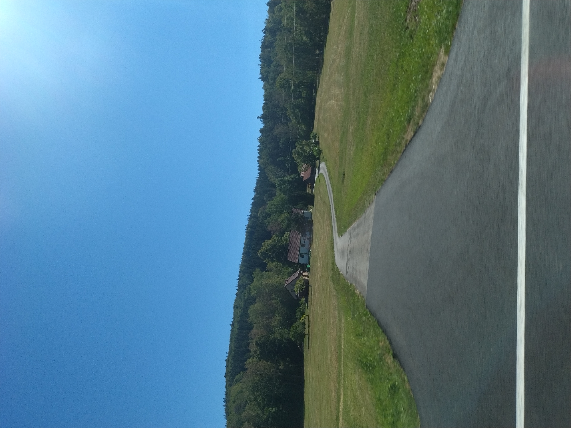 The image shows a rural landscape with a road curving through a grassy field towards a cluster of buildings nestled at the base of a densely forested hill. The sky is a clear, bright blue with a slight haze in the upper right corner, indicating a sunny day. The road is paved and dark grey, with a white line painted across it in the foreground, suggesting it is a public road.

On the left side of the road, there is a vast expanse of green grass, characteristic of a meadow or pasture. On the right side, the grass is also green but appears slightly drier and less uniformly cut in some areas, with hints of lighter green and brown patches.

In the middle ground, a few buildings are visible. One building, with a reddish-brown roof, appears to be a house. To its right, another building with a lighter colored roof and white walls is also present. These buildings are situated within a clearing at the edge of the forest. Several trees are scattered around the buildings and in the foreground field, some appearing mature and others younger saplings.

The background is dominated by a thick, dark green forest that covers the rolling hills. The trees are dense, creating a natural barrier and a sense of depth to the scene. The overall impression is one of a tranquil, scenic rural environment.

The image was taken from a moving vehicle, as evidenced by the slight motion blur on the road and the grass in the foreground. It is likely a photograph taken while driving through or near Rojšín, Czechia. No people are visible in the image.