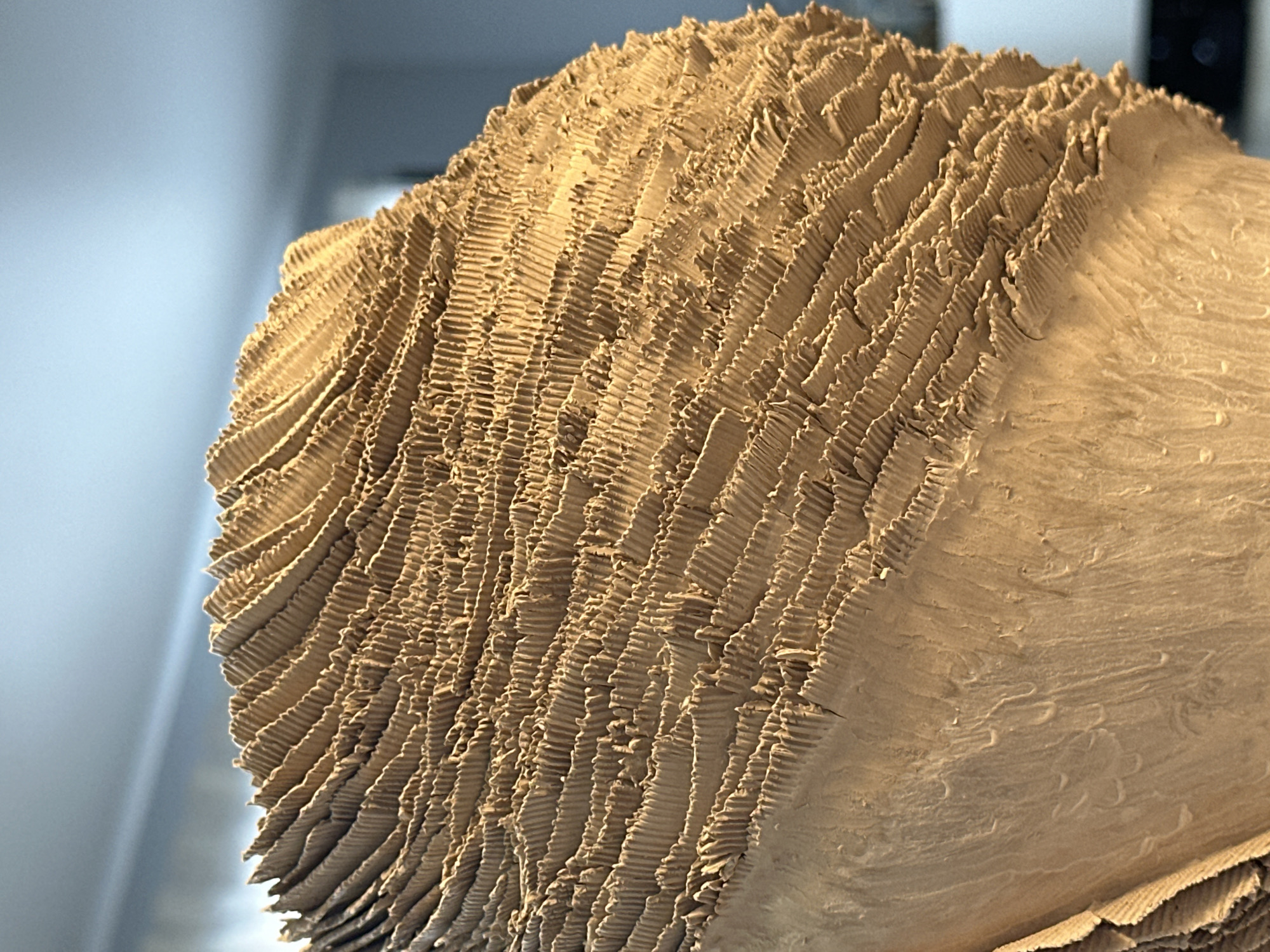 The image is a close-up, low-angle, interior shot of a brown, textured object that appears to be made of corrugated cardboard. The object has a rounded shape with a ruffled or layered surface composed of many vertical, ribbed sections. The lighting highlights the texture and creates shadows within the grooves of the material. The background is out of focus and shows a light blue wall or ceiling, suggesting an indoor setting. There are no people, animals, or other objects clearly identifiable in the image. The location in Nevinnomyssk, Russia, cannot be determined from the visual information provided.