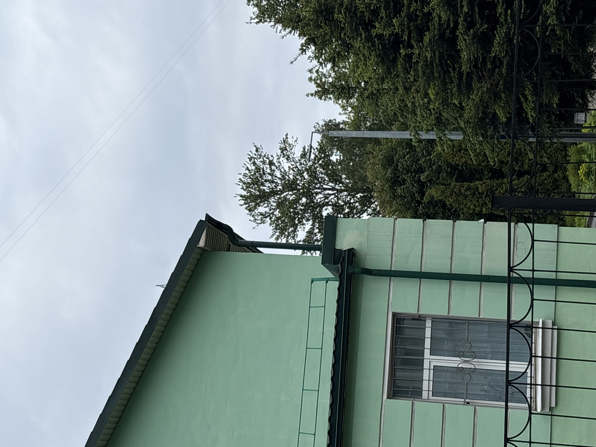 The image shows the exterior of a light green building with a dark green roof and trim. A window is visible with white frames and decorative metal bars. A metal ladder is attached to the building's wall. The building is partially obscured by a dark metal fence. Above the building are trees and an overcast sky. Two parallel power lines are visible in the upper left corner.
The description does not include any information about the specific location in Saint Petersburg, Russia.
