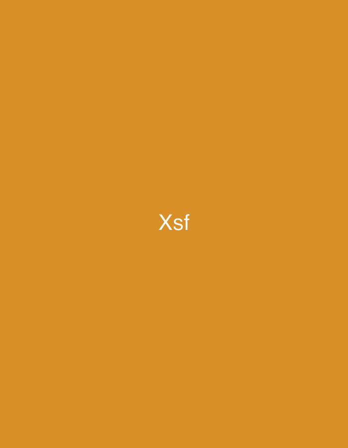 The image displays a uniform, solid orange background. Horizontally and vertically centered on this background is the text 'Xsf' rendered in white, sans-serif typeface. The 'X' is capitalized, while 's' and 'f' are lowercase. There are no other discernible subjects, objects, people, actions, interactions, or environmental features present in the image. The image contains no visual cues or information that would allow for the determination of a specific geographical location, including the city of Casablanca, Morocco.