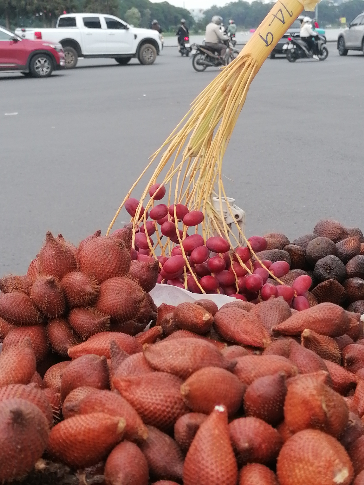 The image presents a close-up view of a vibrant roadside fruit stall set against the backdrop of a bustling street, indicative of an urban environment in Da Lat, Vietnam. The foreground is dominated by a profusion of fresh fruits displayed for sale.
The main subject is a large pile of Salak fruit, also known as "snake fruit," which are easily identifiable by their reddish-brown, scaly, and somewhat spiky skin, and their teardrop or oval shape. These fruits are heaped high, with some appearing darker, possibly indicating varying stages of ripeness. To the left and center, another type of fruit, bright red and oval-shaped, resembling fresh dates or a similar palm fruit, is prominently showcased. These red fruits are attached to numerous long, slender, yellowish stems, which are bundled together. This bundle of stems is tied to a thicker, light-colored bamboo or cane stick, which stands upright in a white container, holding the fruits aloft. On the upper section of this cane stick, handwritten text "b 4 9" is clearly visible, likely serving as a price, code, or identifier.
In the mid-ground and background, an asphalt road indicates an active street. Various vehicles are in motion or parked: a white pickup truck and a red car are visible to the left. Numerous individuals on motorcycles, some wearing helmets, can be seen commuting, highlighting the busy nature of the street. The overall lighting is soft and diffused, suggesting either an overcast day or the softer light of morning or late afternoon, without harsh shadows. The scene captures a common sight in Vietnamese cities, where fresh produce is sold directly to commuters by the roadside.