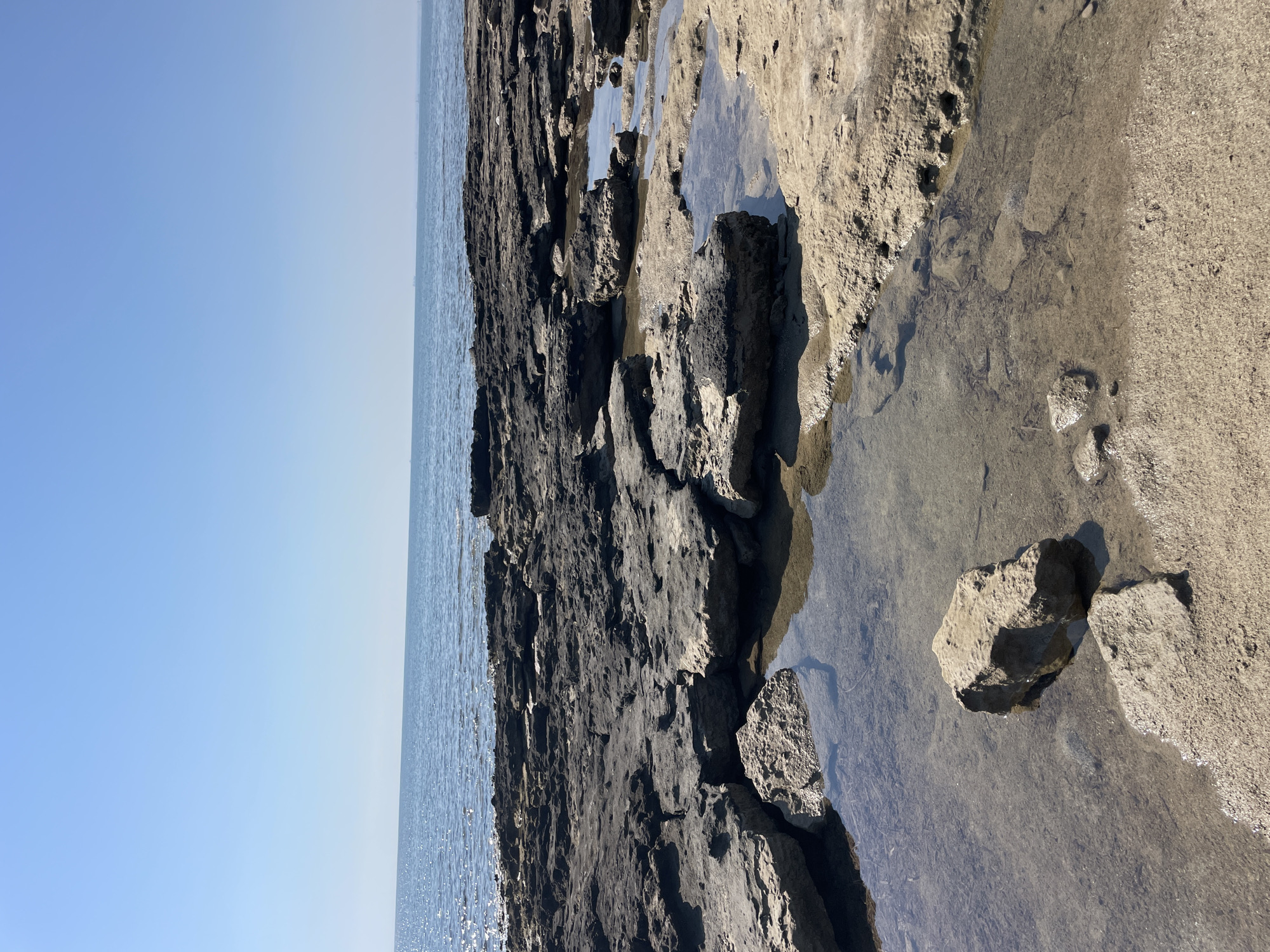 The image depicts a rocky coastline with clear blue sky and calm water. In the foreground, there are tidal pools formed between dark, flat rocks. The rocks are uneven and appear weathered. The water in the pools is shallow and clear, allowing the sandy bottom and smaller stones to be visible. In the background, the sea stretches to the horizon, reflecting the sunlight. The sky is a clear, pale blue, with no clouds. The overall environment suggests a natural coastal landscape.
