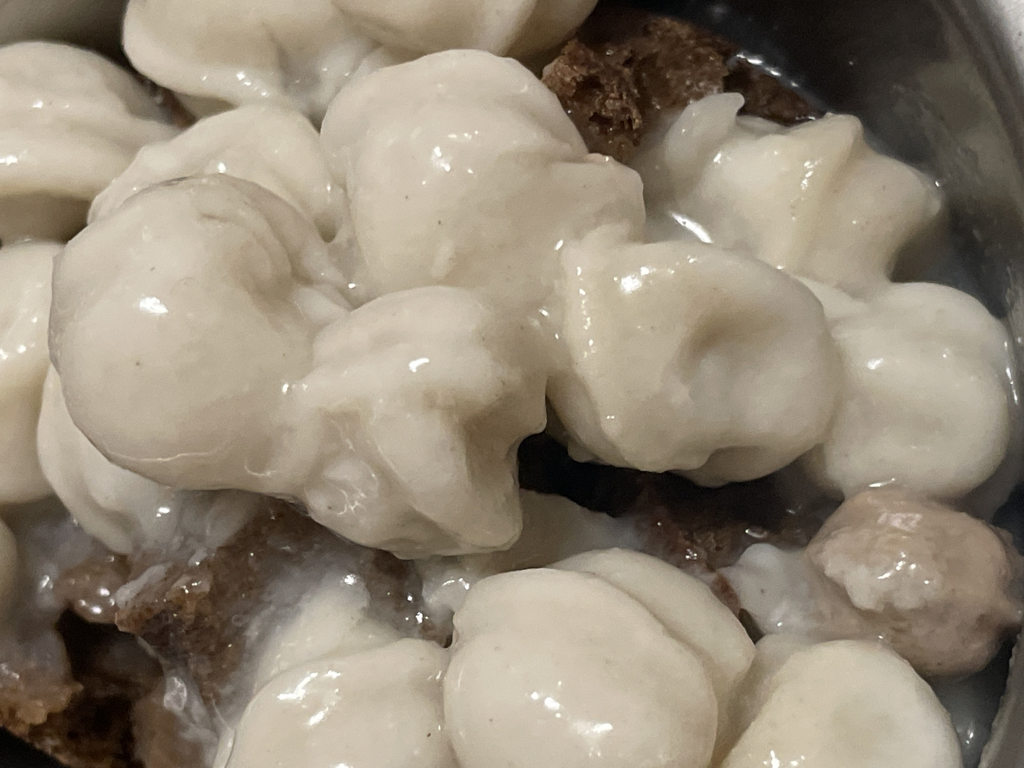 The image shows a close-up view of a bowl of food, likely a dessert or a dish with dumplings. The food consists of numerous small, rounded, white, and slightly translucent dumplings submerged in a creamy white sauce. Interspersed among the dumplings are pieces of dark brown, textured food, which appear to be bread or cake. The lighting is direct, highlighting the glossy surface of the dumplings and the sauce, with some reflections visible. The composition is tight, focusing entirely on the contents of the bowl, and no background or environment is visible. There is no indication of any specific location in Mirnyy, Russia, or any people, actions, or interactions.