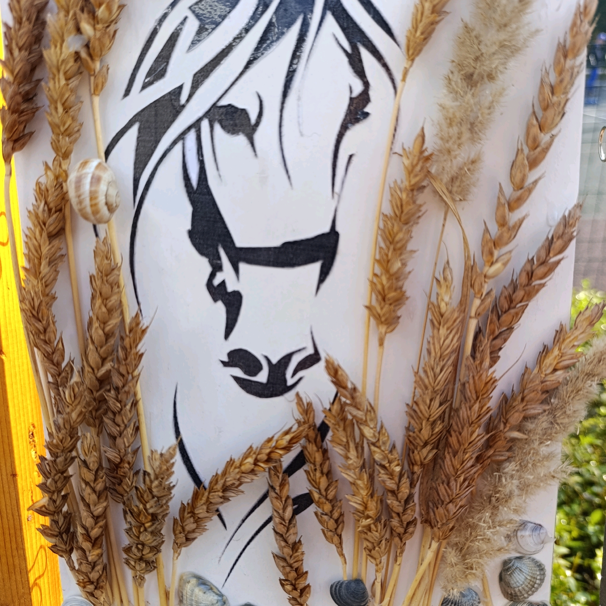The image displays a close-up view of a white surface decorated with a black stencil of a horse's head. The stencil is partially obscured by dried wheat stalks, reeds, and shells. A small, striped snail shell is adhered to the surface near the wheat stalks on the left side of the image. Several shells are also visible at the bottom of the image. The background is blurred, suggesting an outdoor setting with green foliage, possibly indicating a garden or park. The lighting suggests it is daytime. There are no people or actions depicted in the image. The scene appears to be a static display or arrangement of natural elements and artwork. The location is specified as Марковский, Russia.